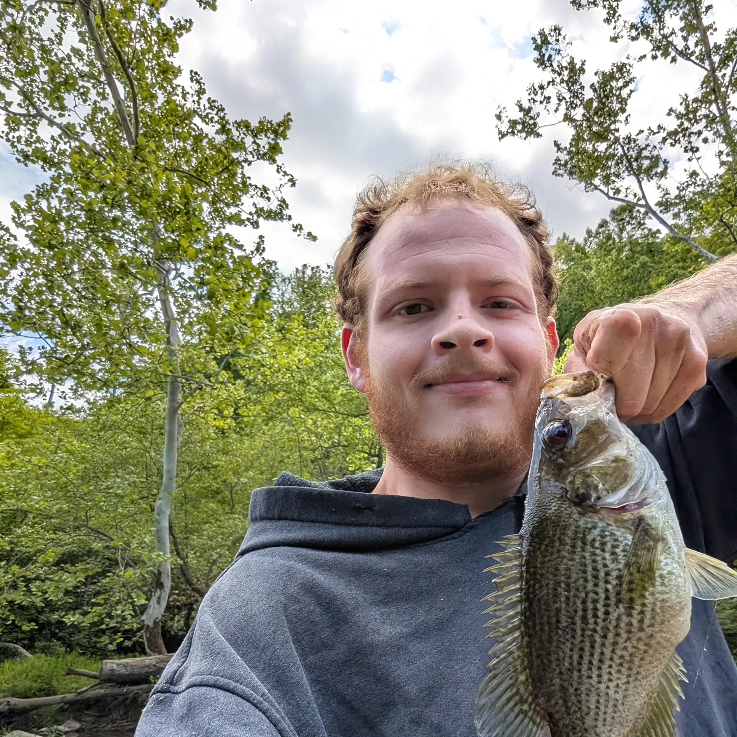 Roanoke bass caught on Fishbrain
