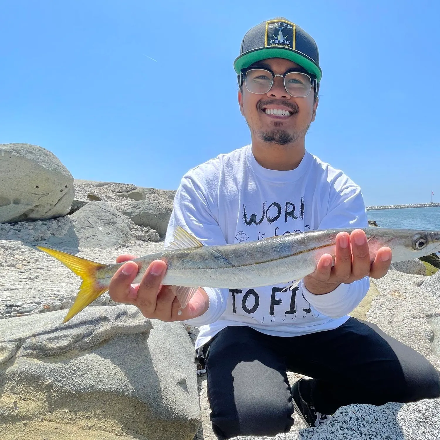 The most popular recent Pacific barracuda catch on Fishbrain