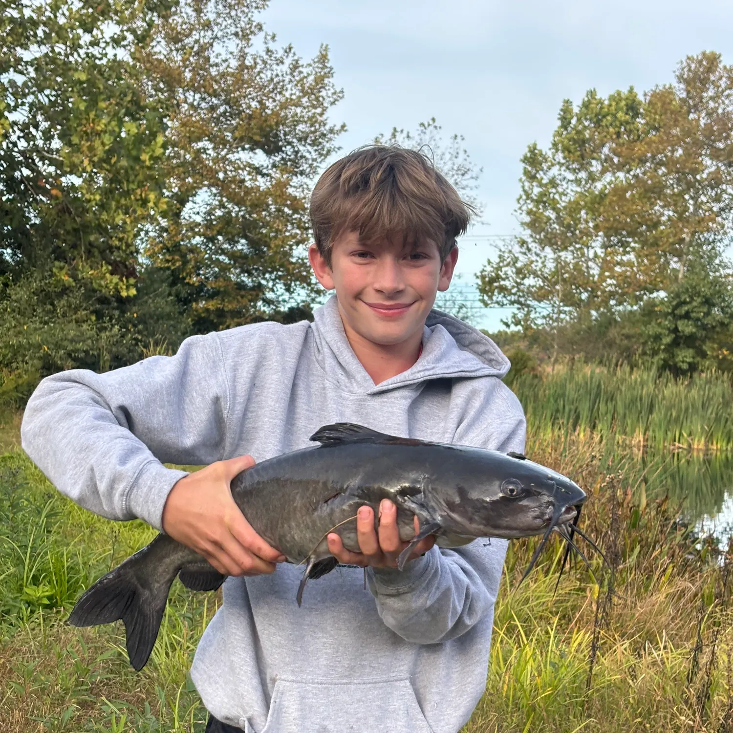 Brown bullhead caught on Fishbrain