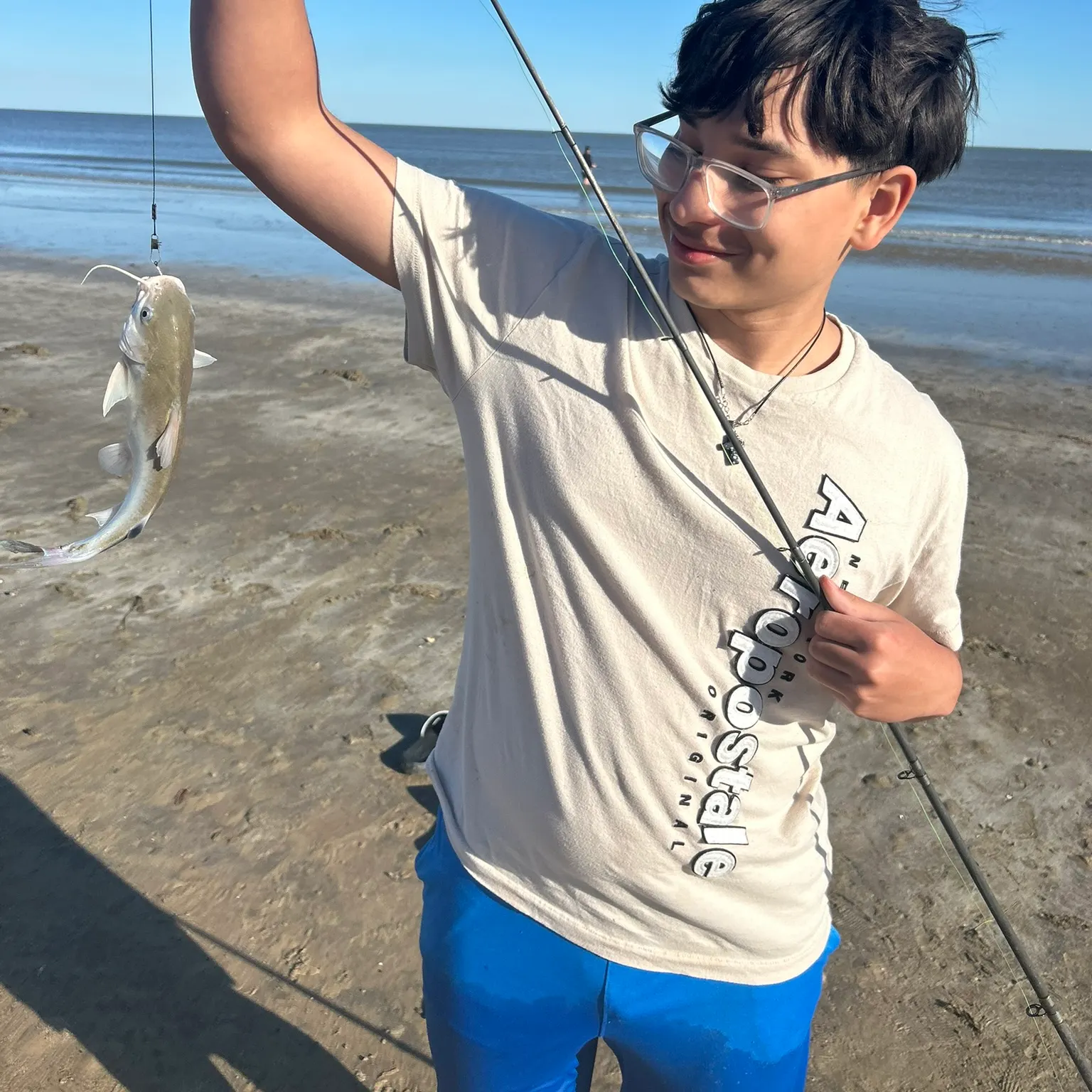 The most recent Hardhead sea catfish catches on Fishbrain