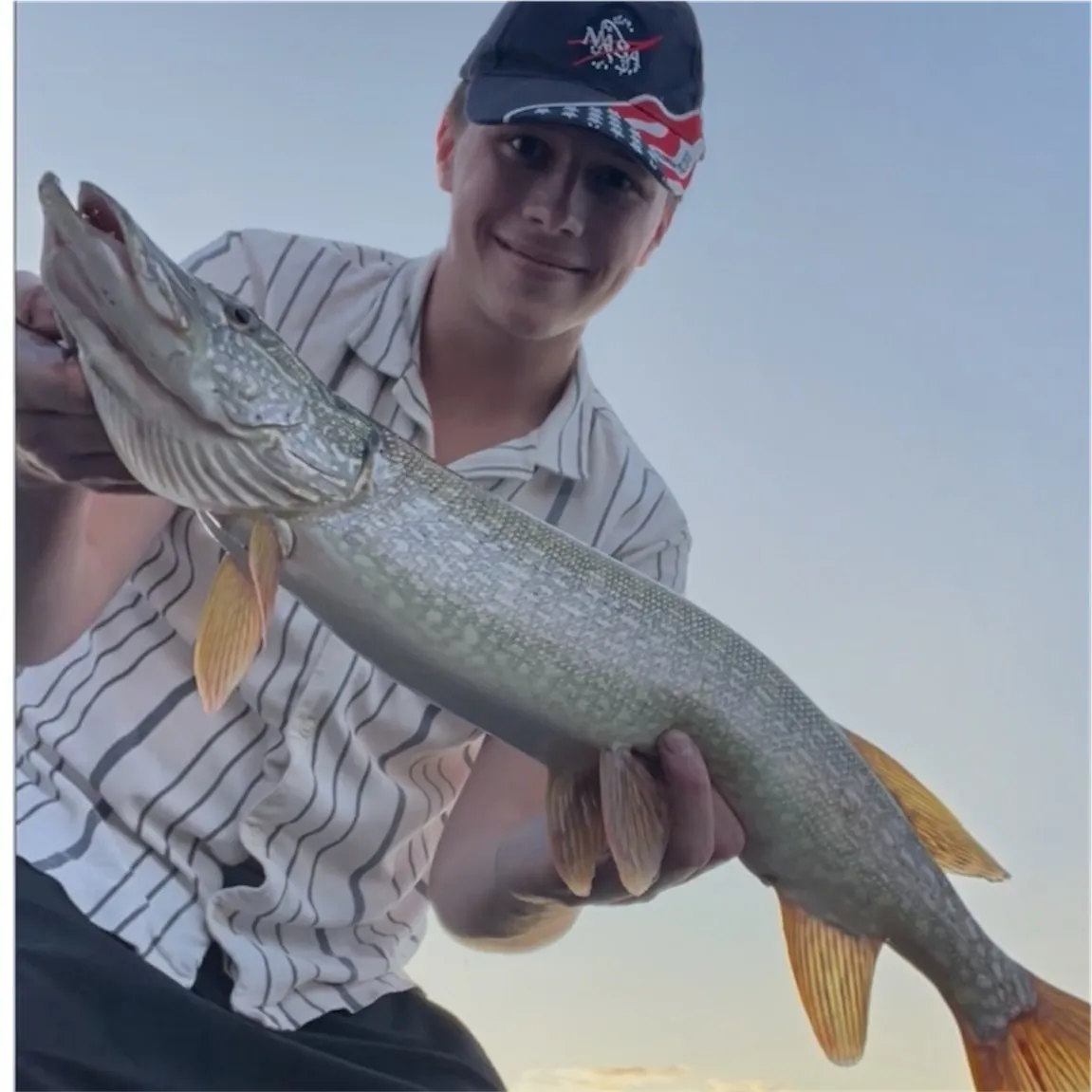 Northern pike caught on Fishbrain