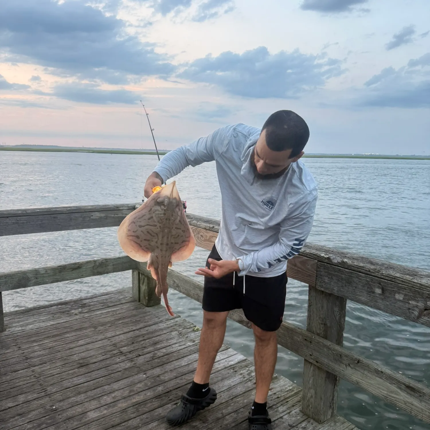 The most recent Bottlenosed skate catches on Fishbrain
