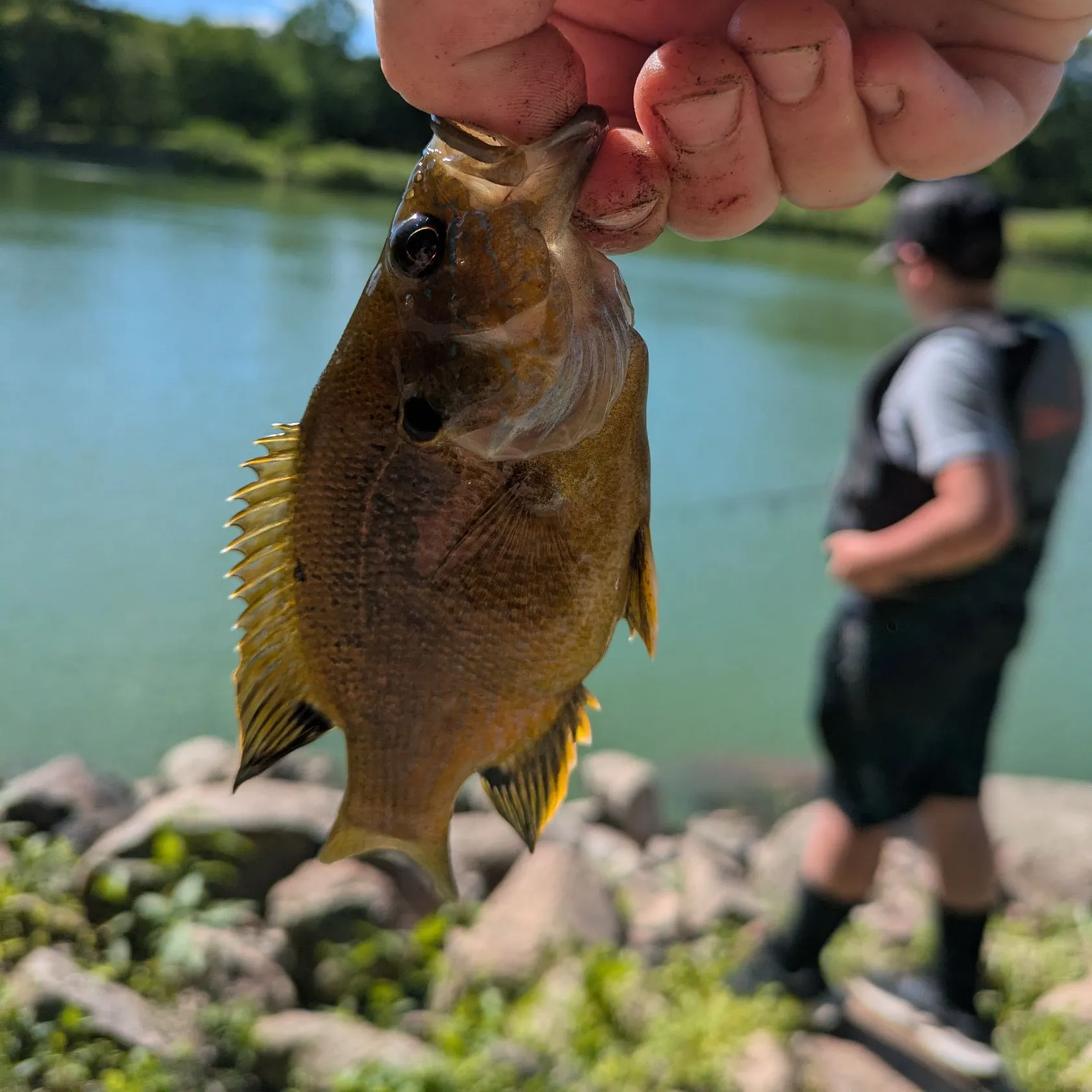 catch