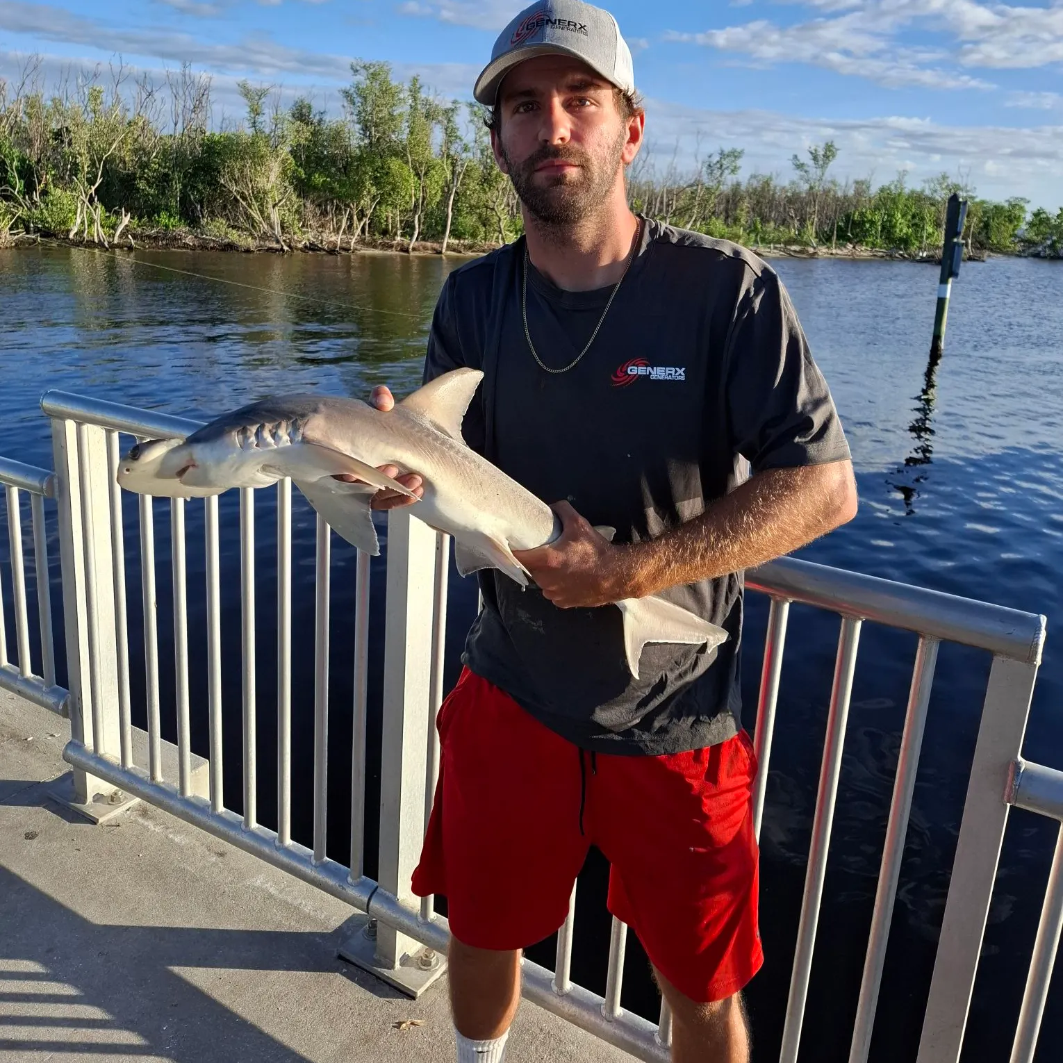 The most recent Bonnethead shark catches on Fishbrain