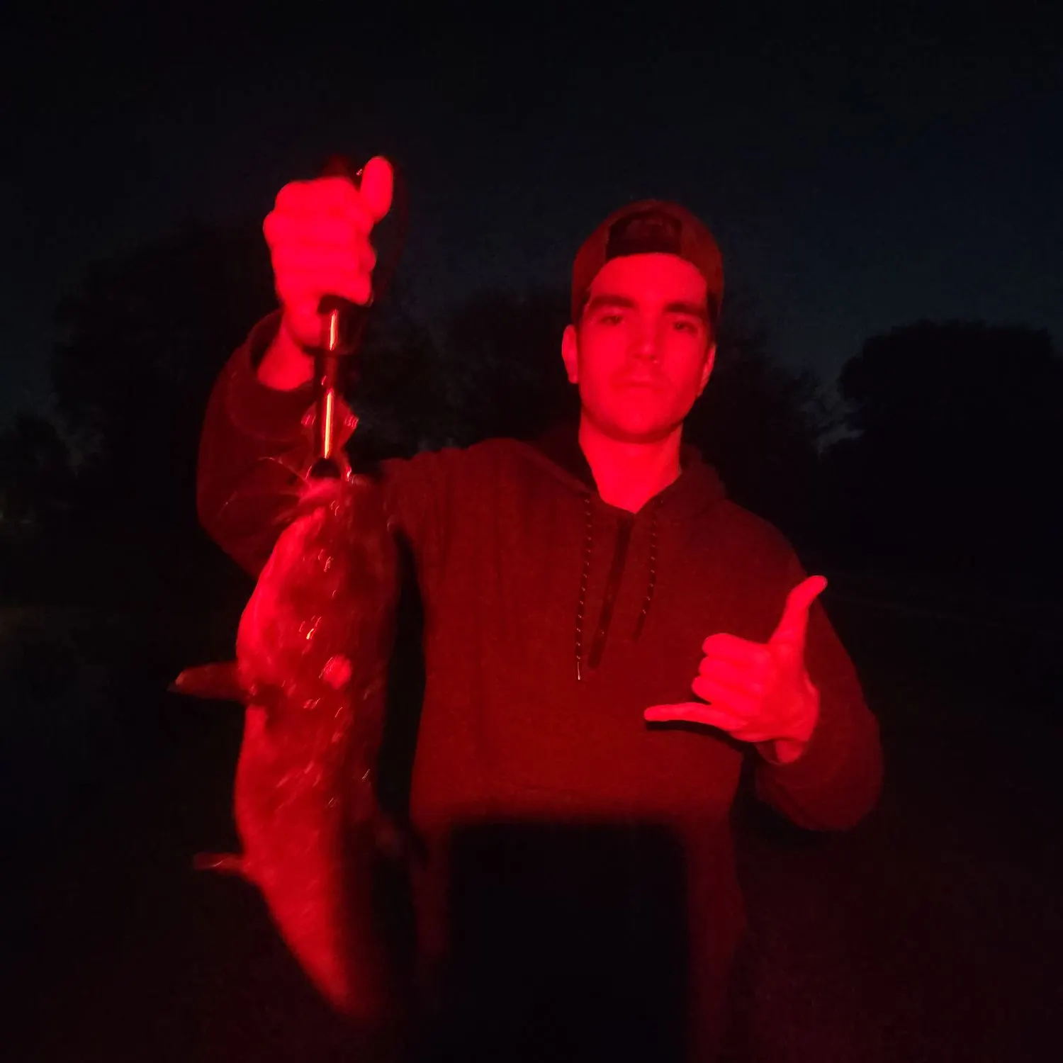 Channel catfish caught on Fishbrain
