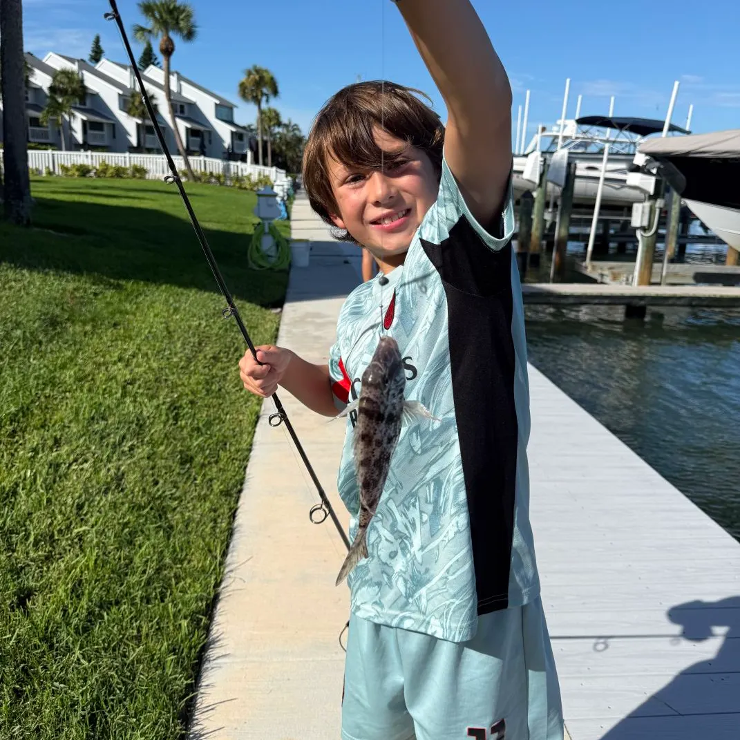The most recent Javelin grunter catches on Fishbrain