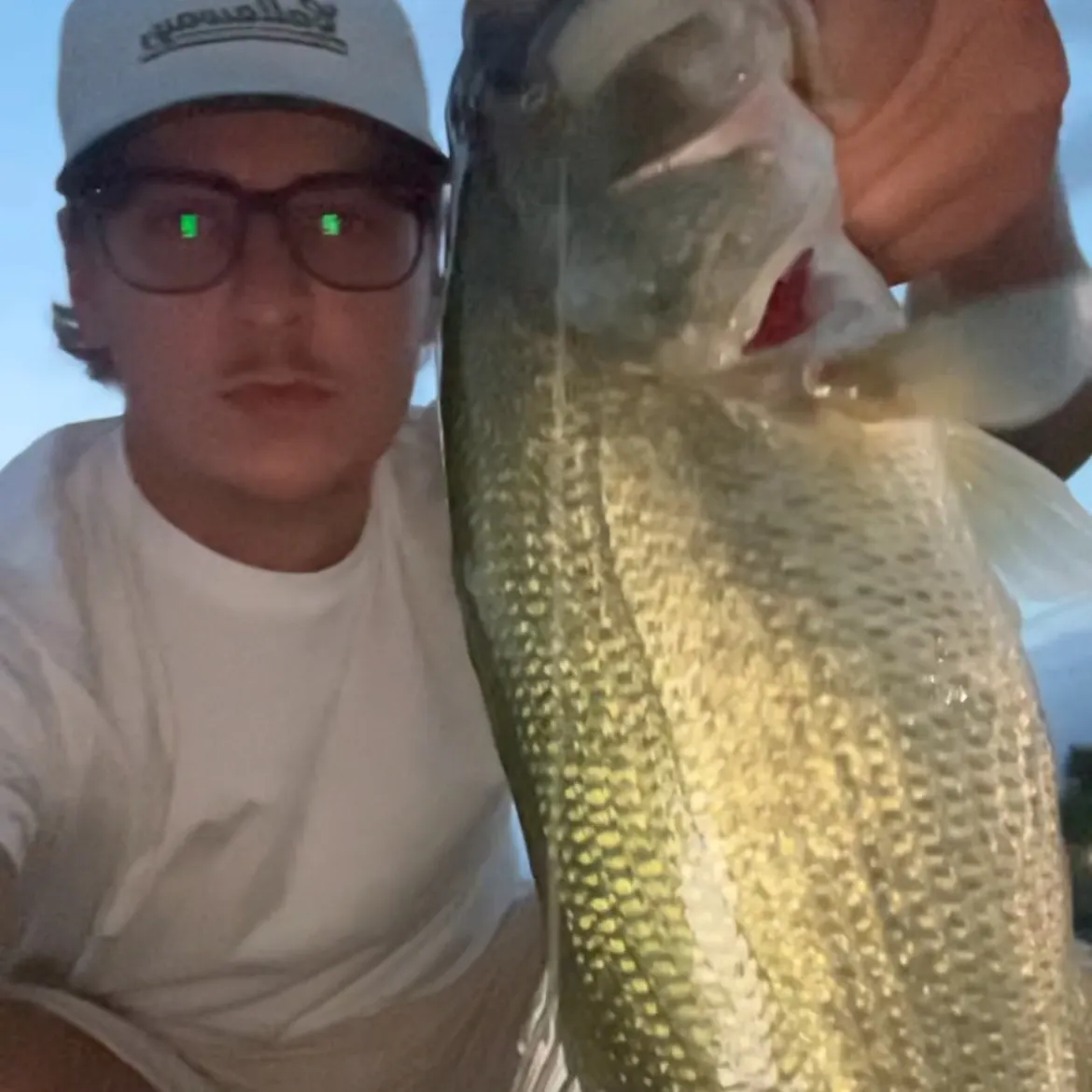 Largemouth bass caught on Fishbrain