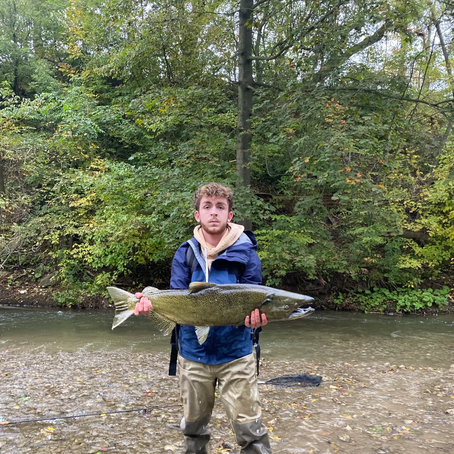 Chinook salmon caught on Fishbrain