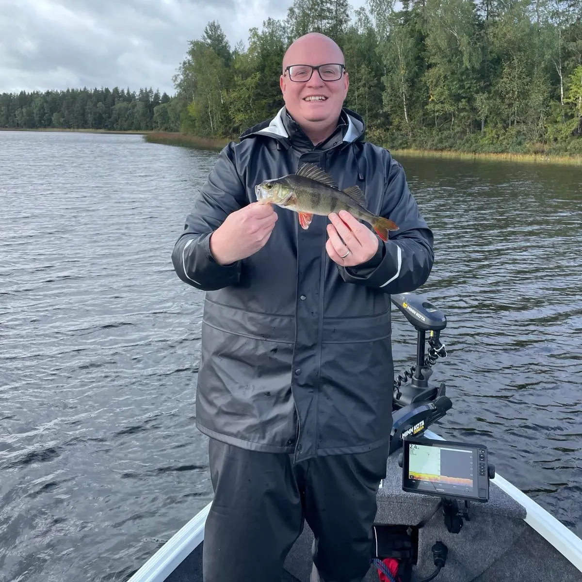 European perch caught on Fishbrain