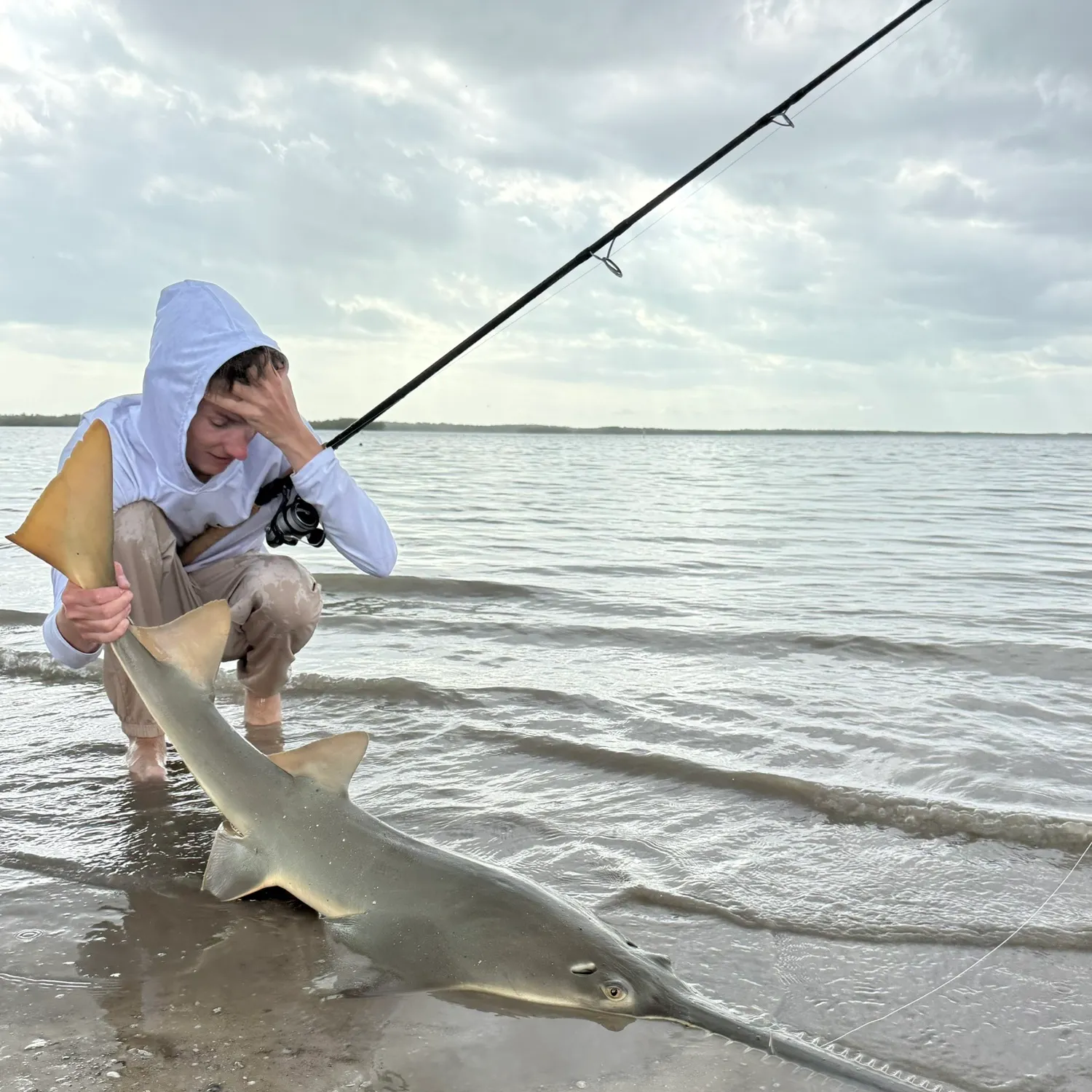 The most recent Smalltooth sawfish catches on Fishbrain