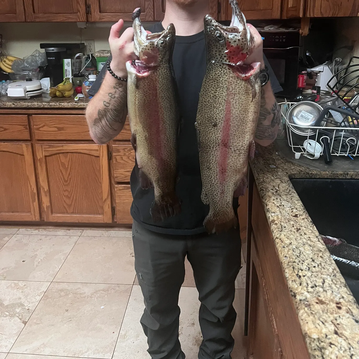 recently logged catches