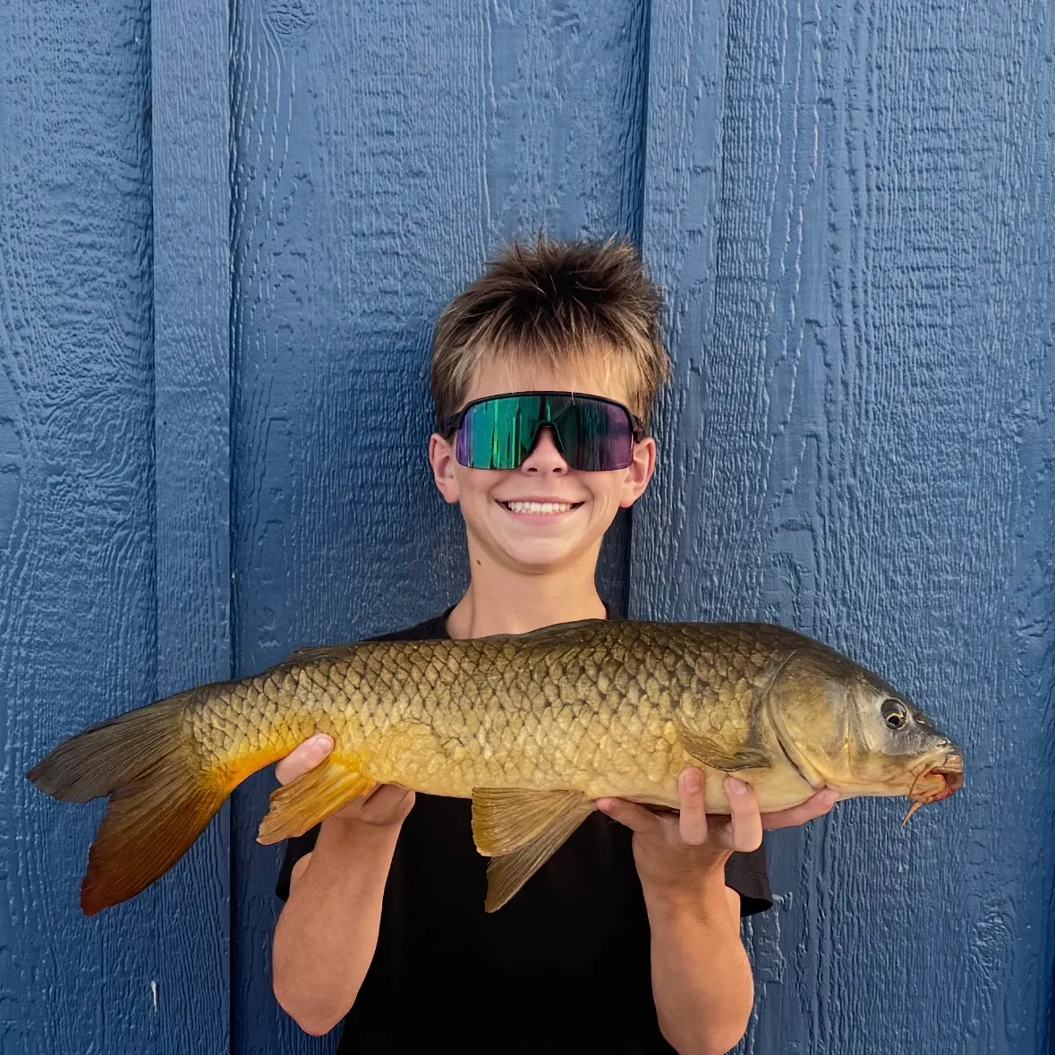 Common carp caught on Fishbrain