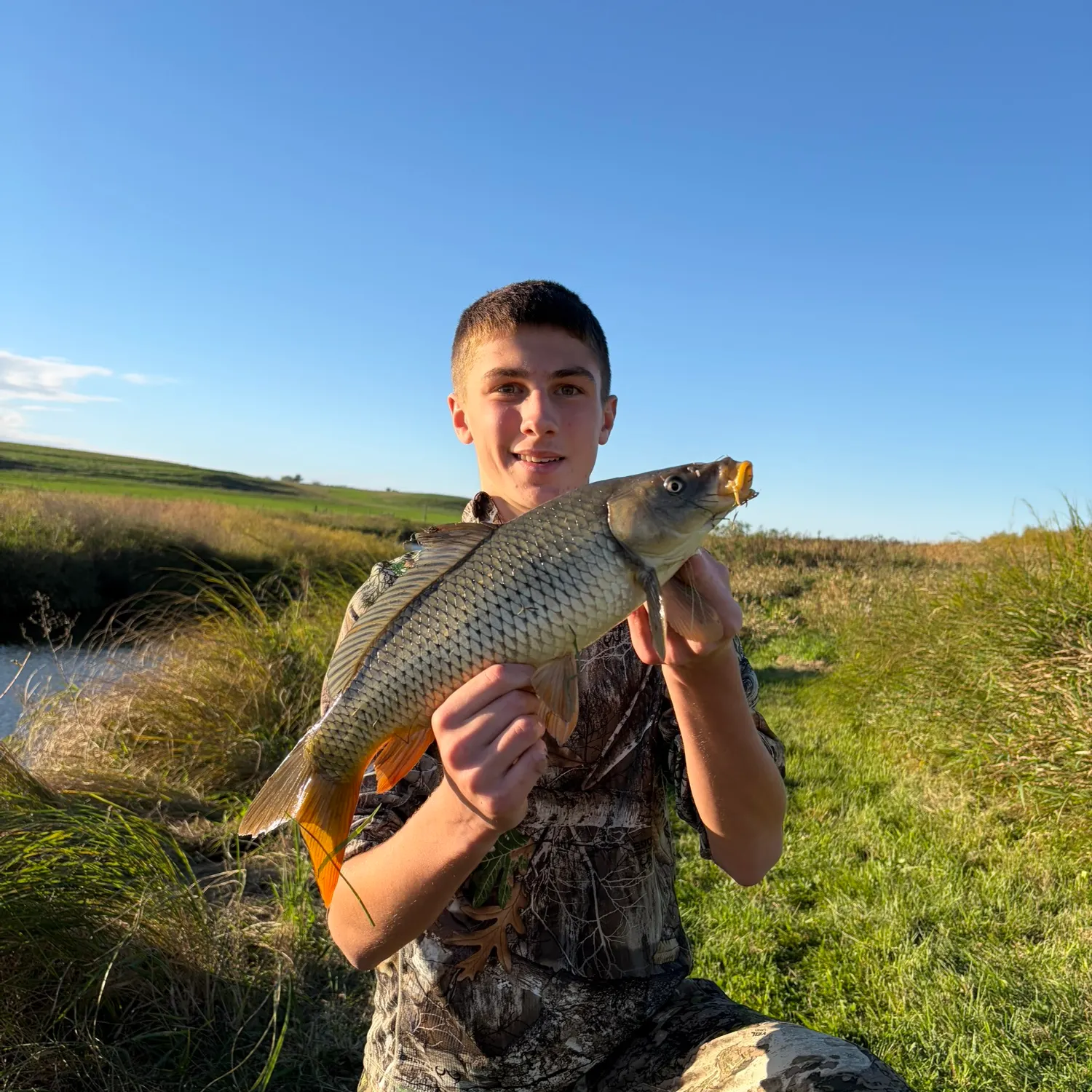 Common carp caught on Fishbrain