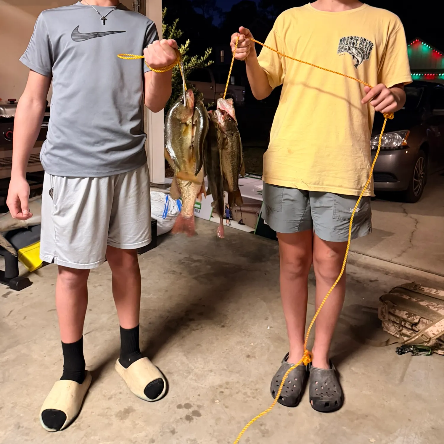 recently logged catches