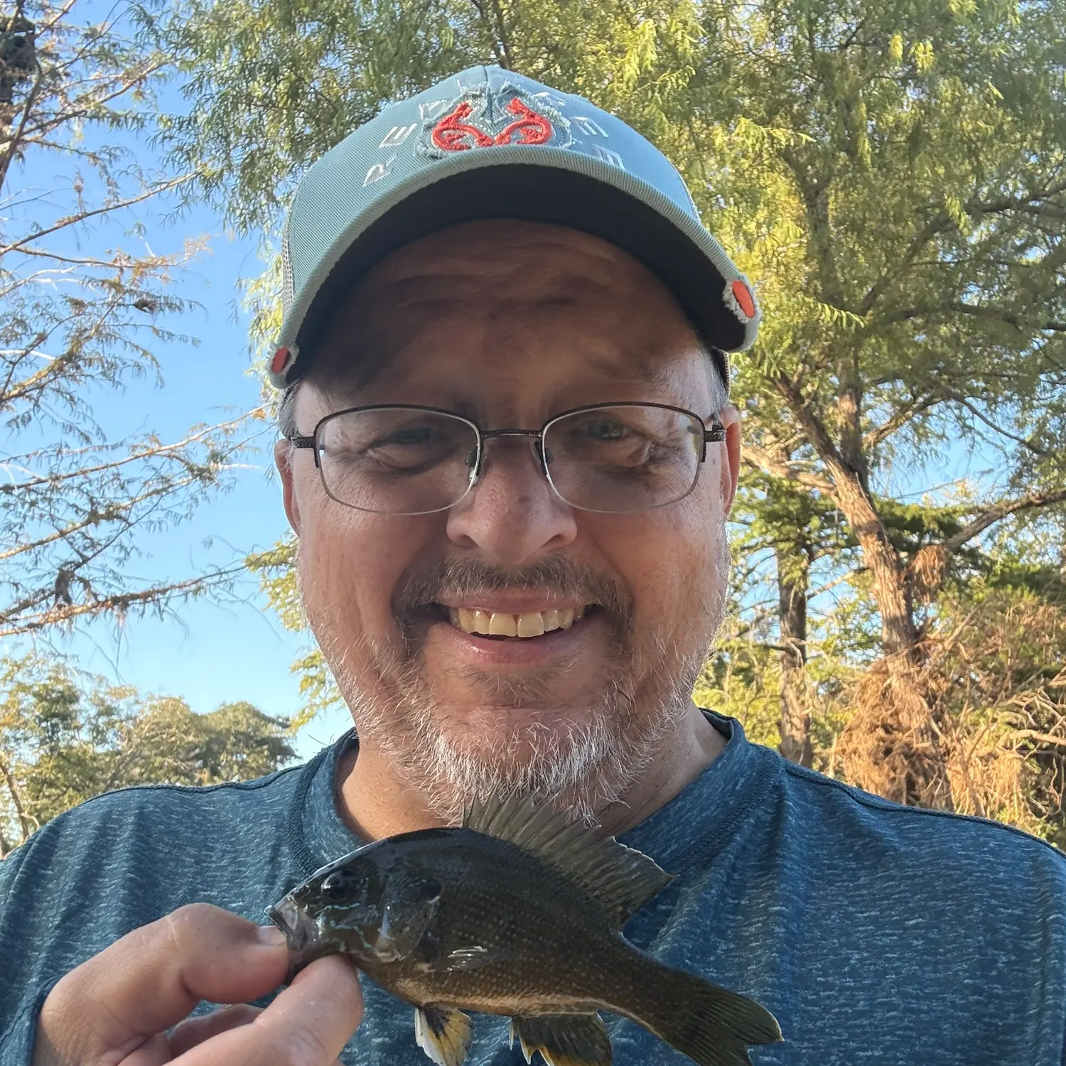 Green sunfish caught on Fishbrain