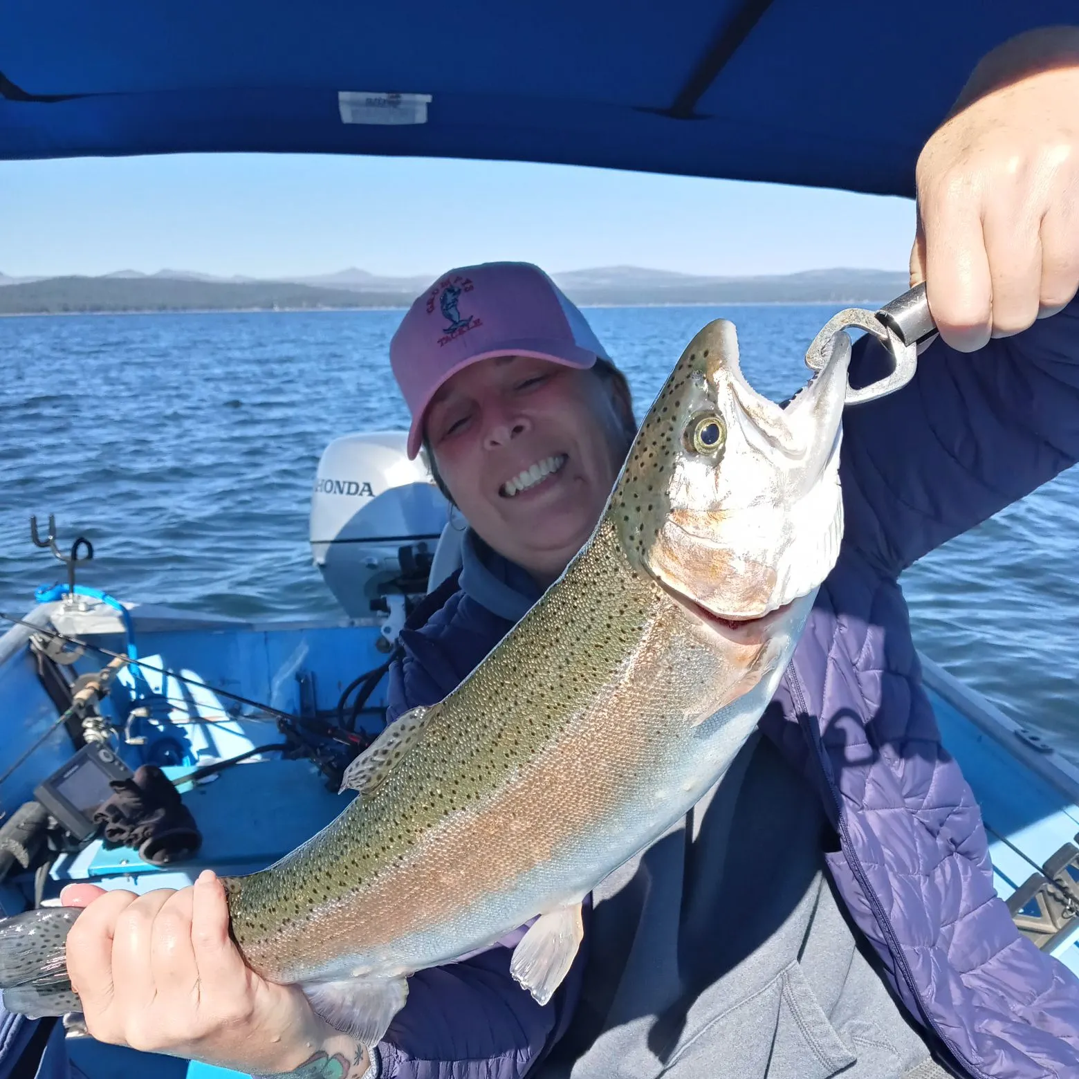Rainbow trout caught on Fishbrain