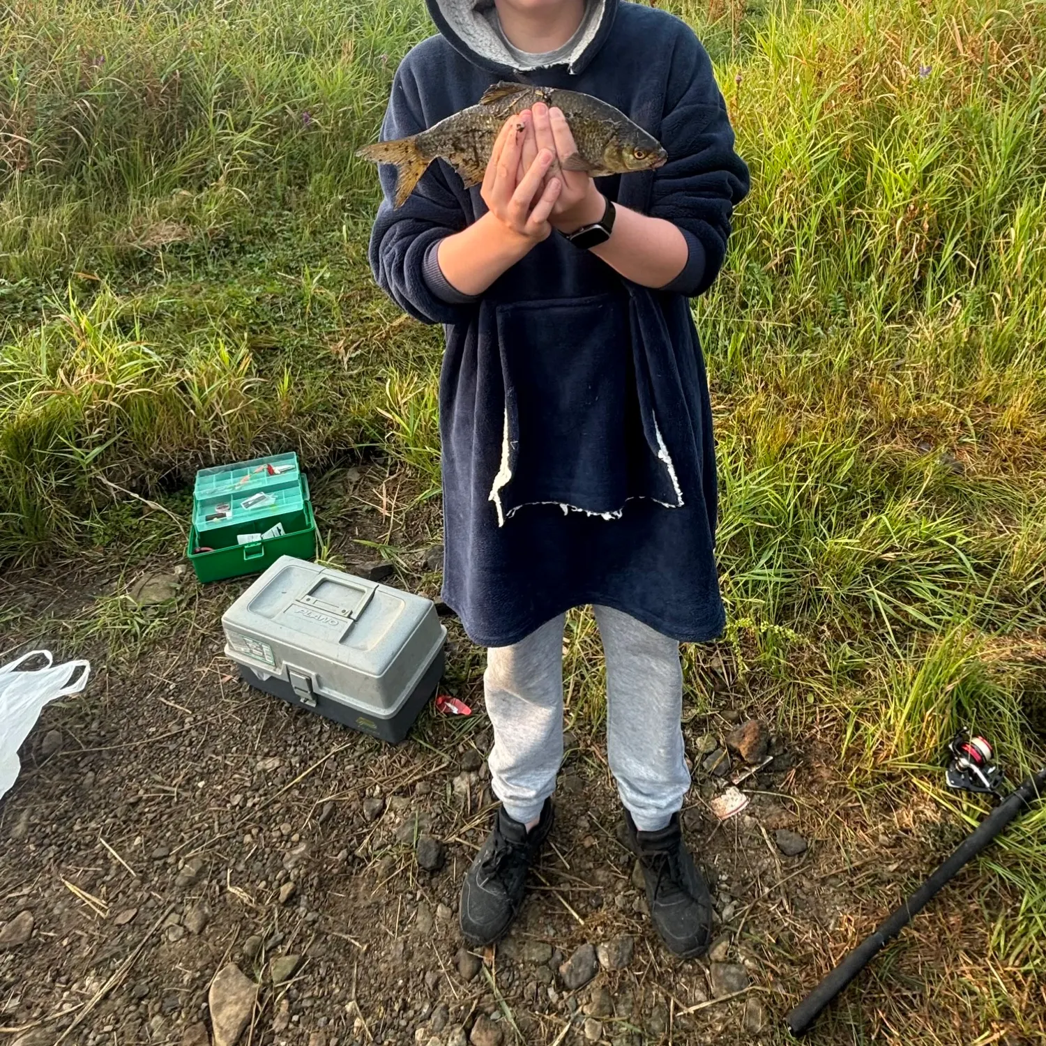 The most recent Common bream catches on Fishbrain