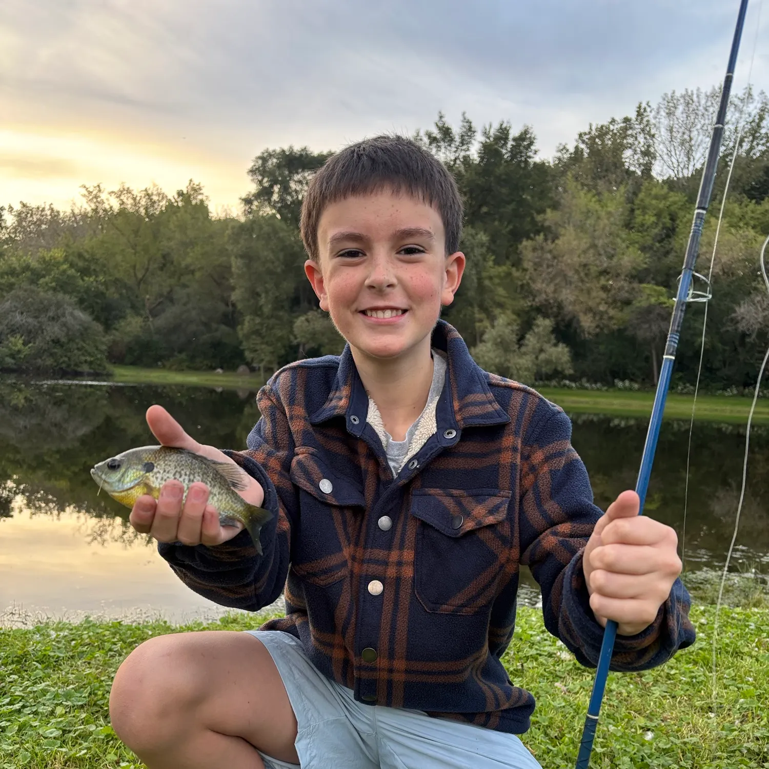 Bluegill caught on Fishbrain