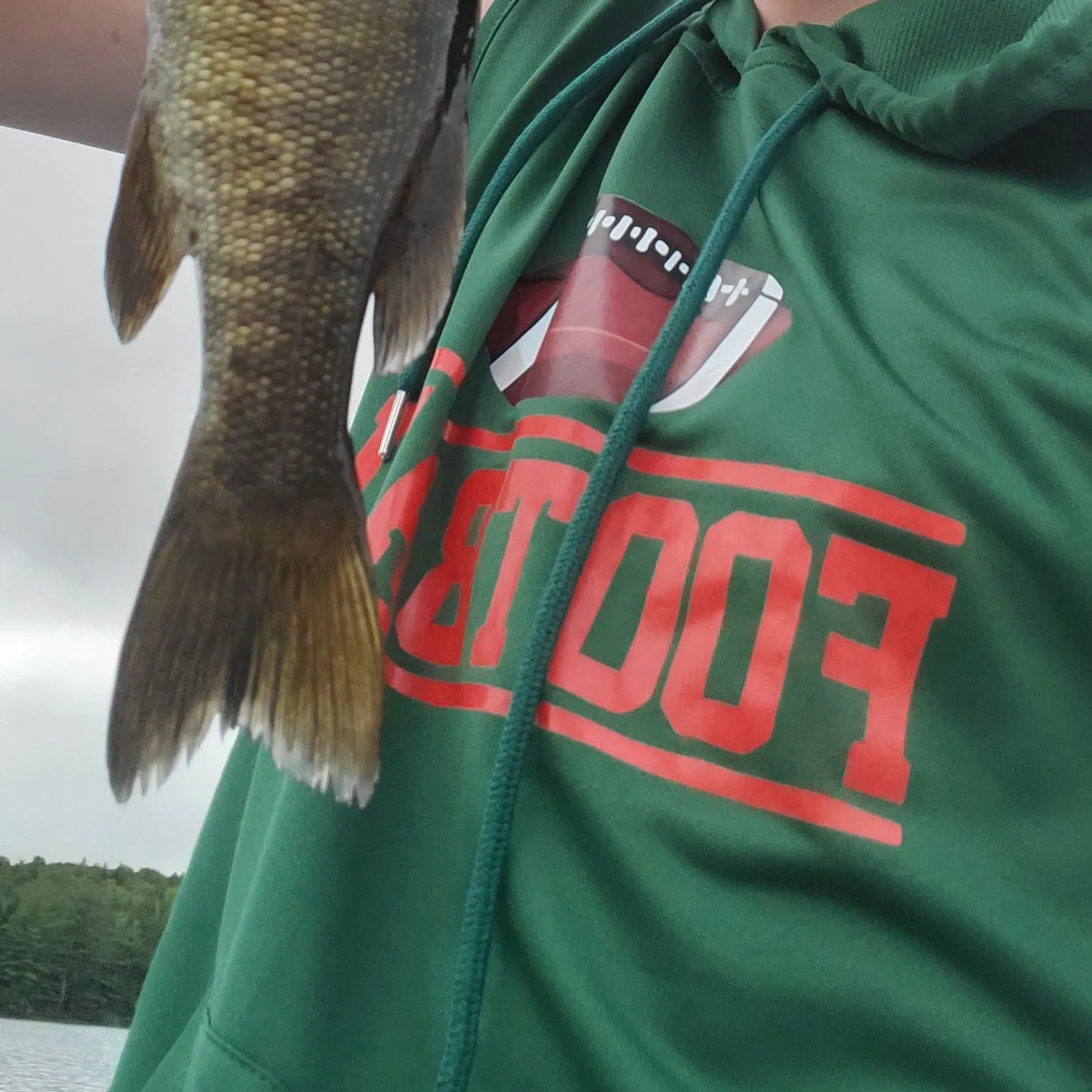 Smallmouth bass caught on Fishbrain