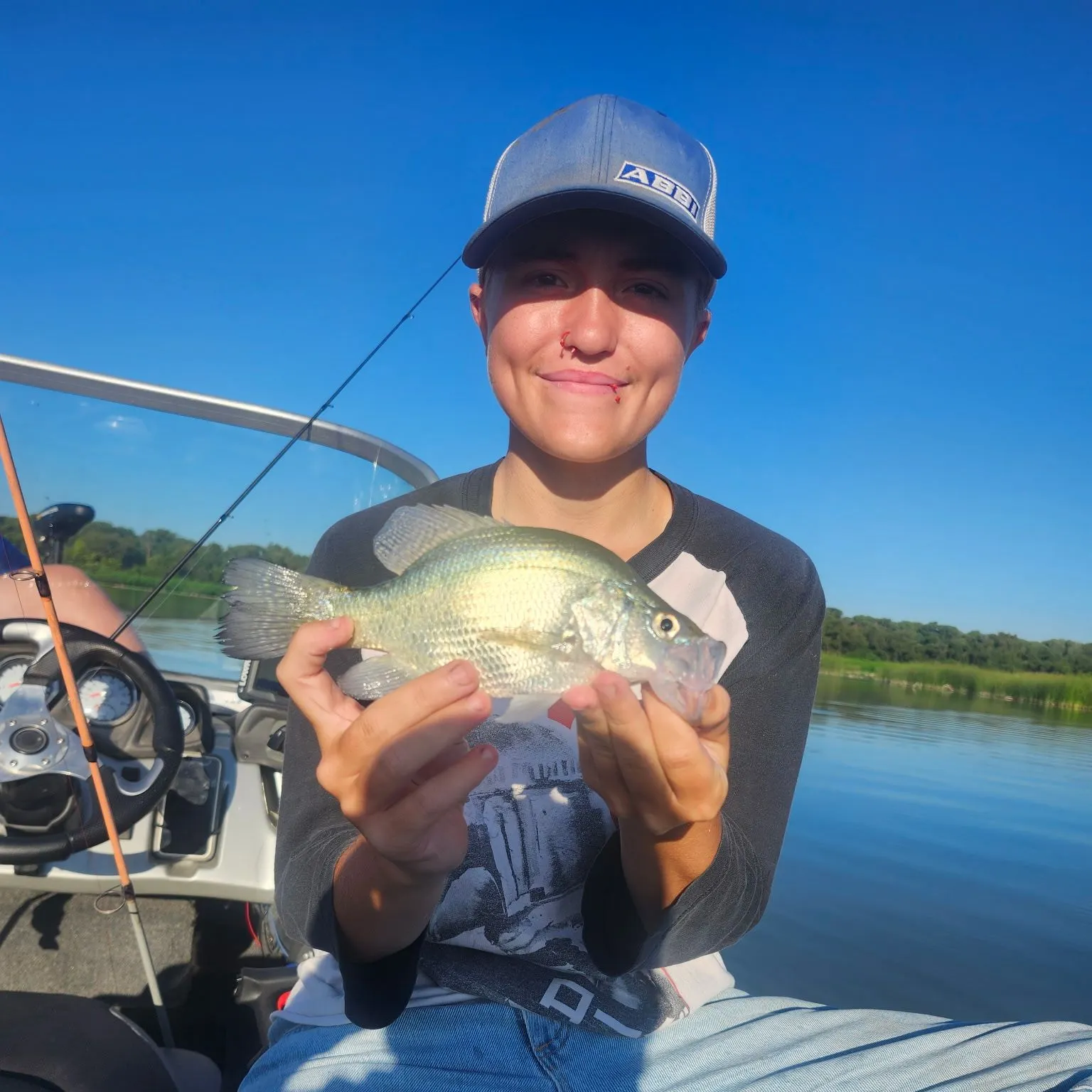 White crappie caught on Fishbrain
