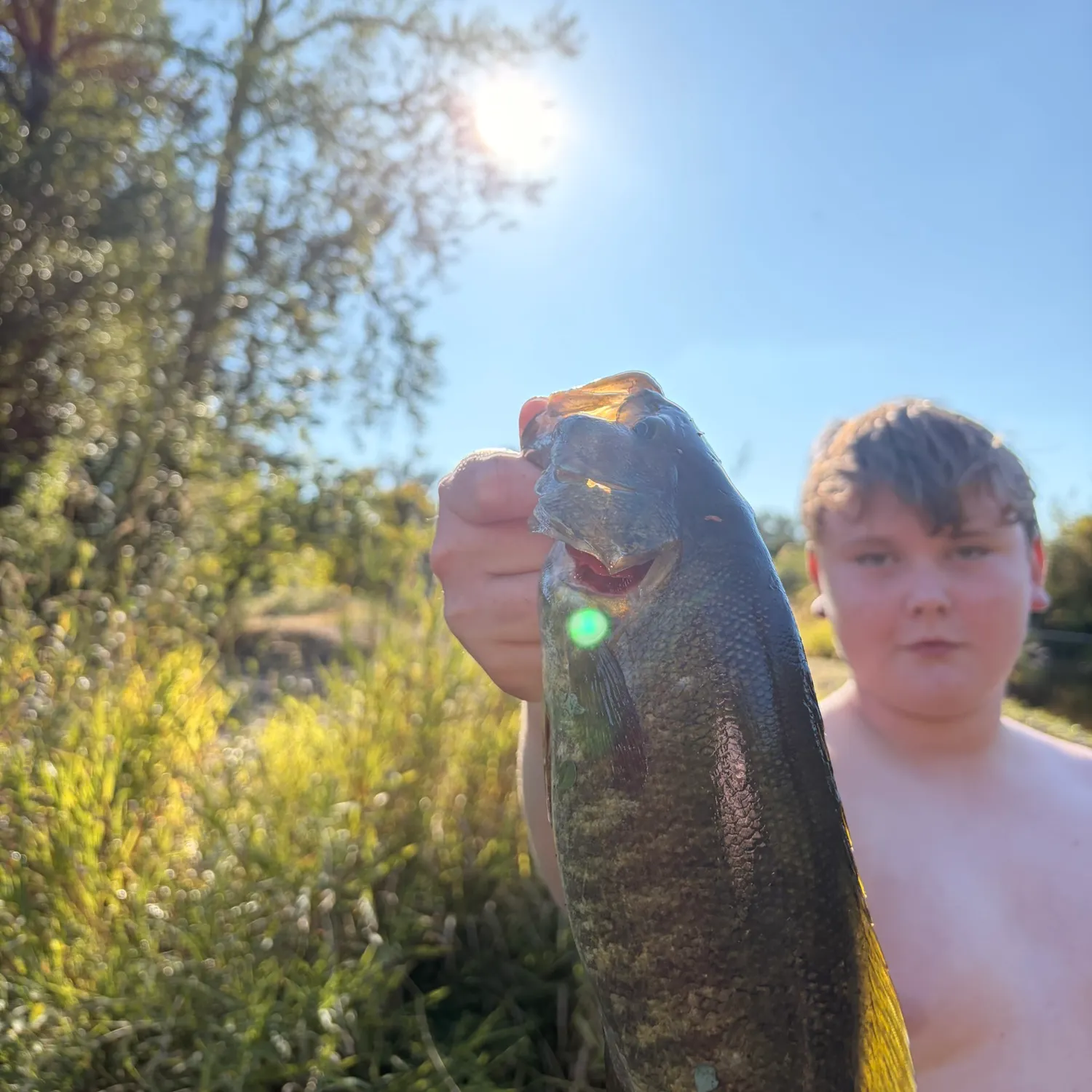 Smallmouth bass caught on Fishbrain