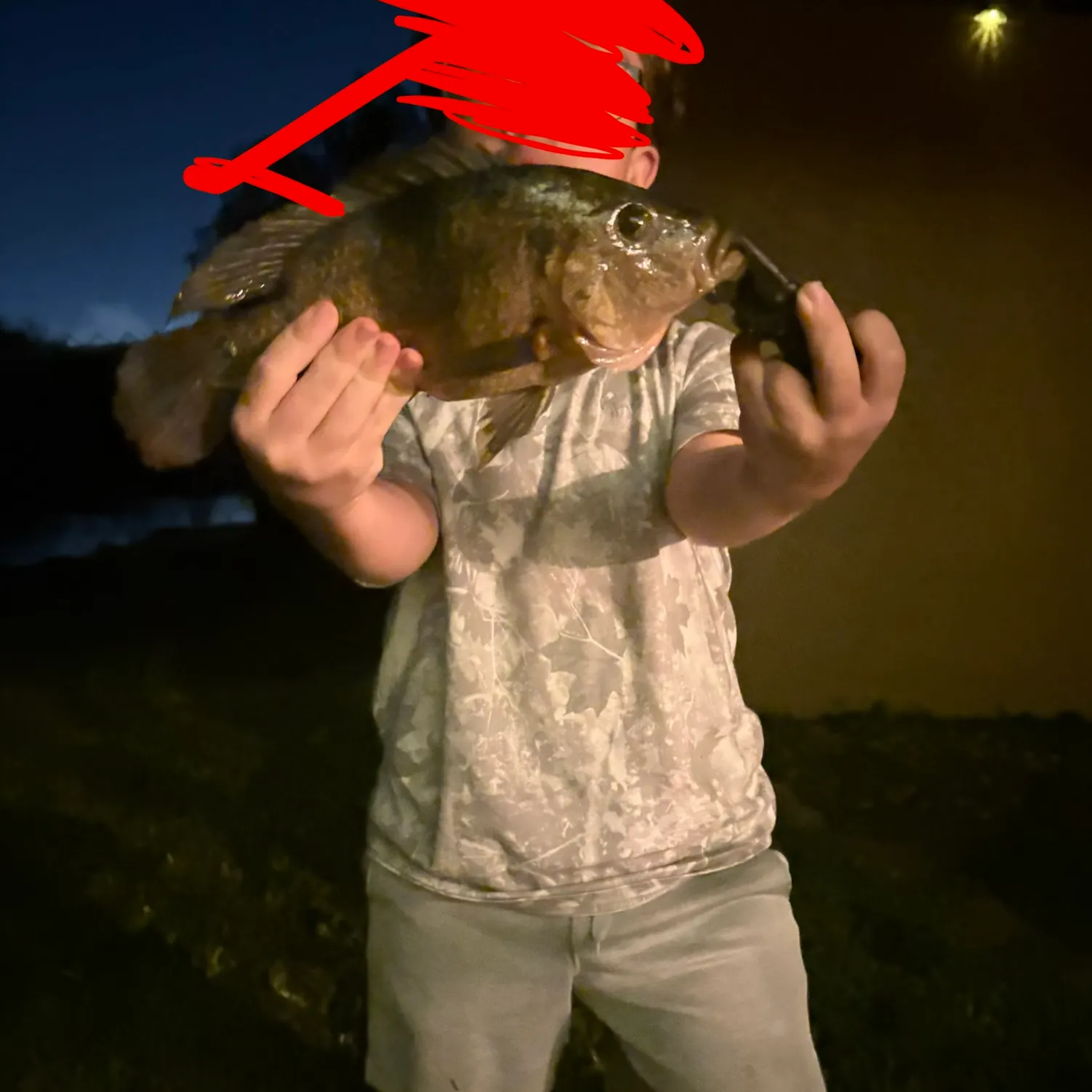 The most recent Mayan cichlid catches on Fishbrain