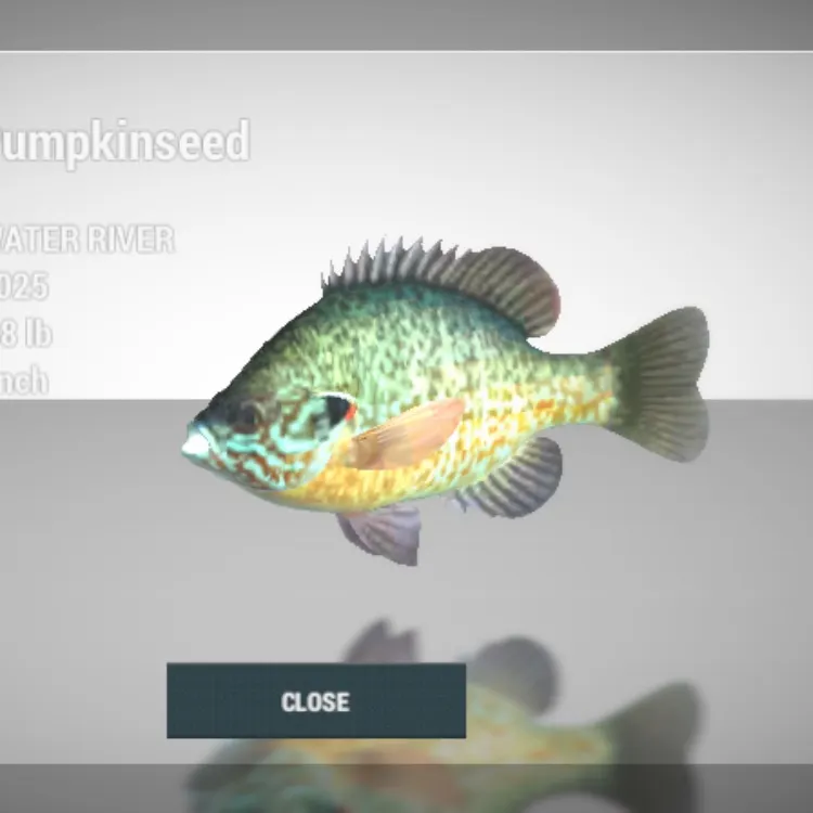 angler catch