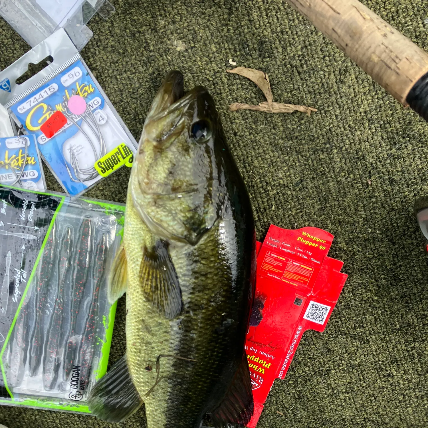 recently logged catches