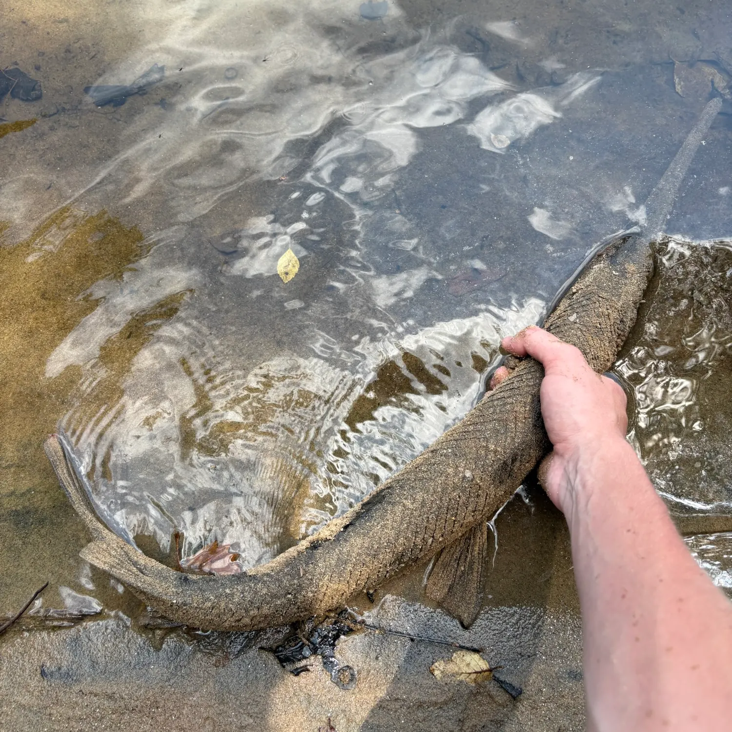 catch