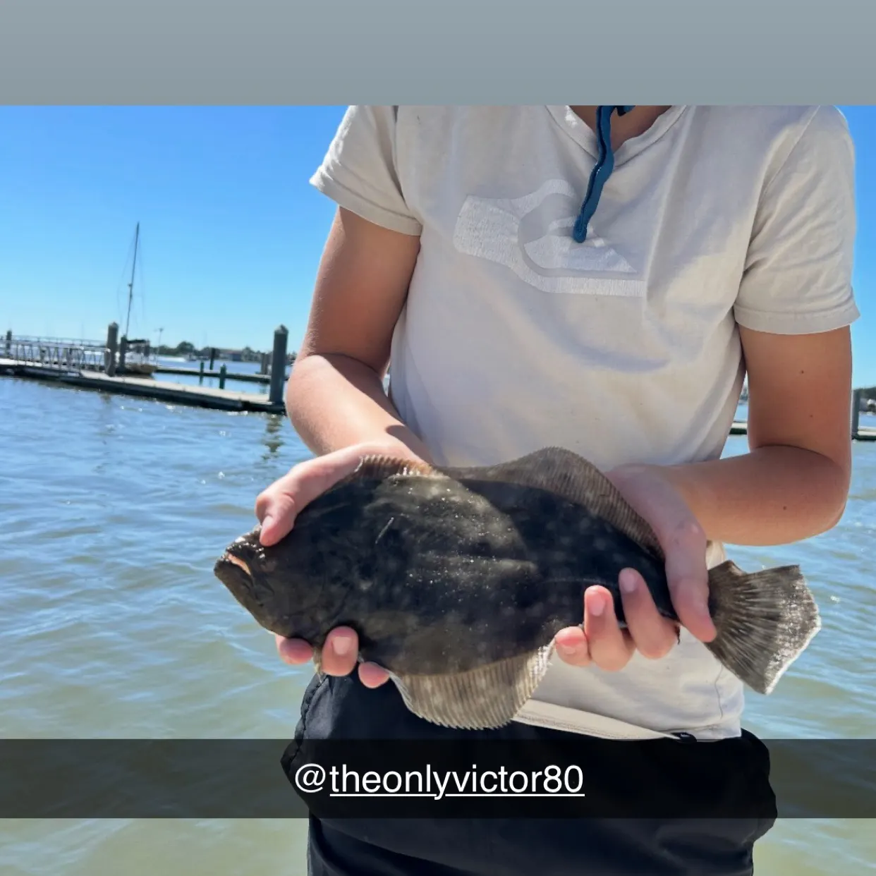The most recent Summer flounder catches on Fishbrain