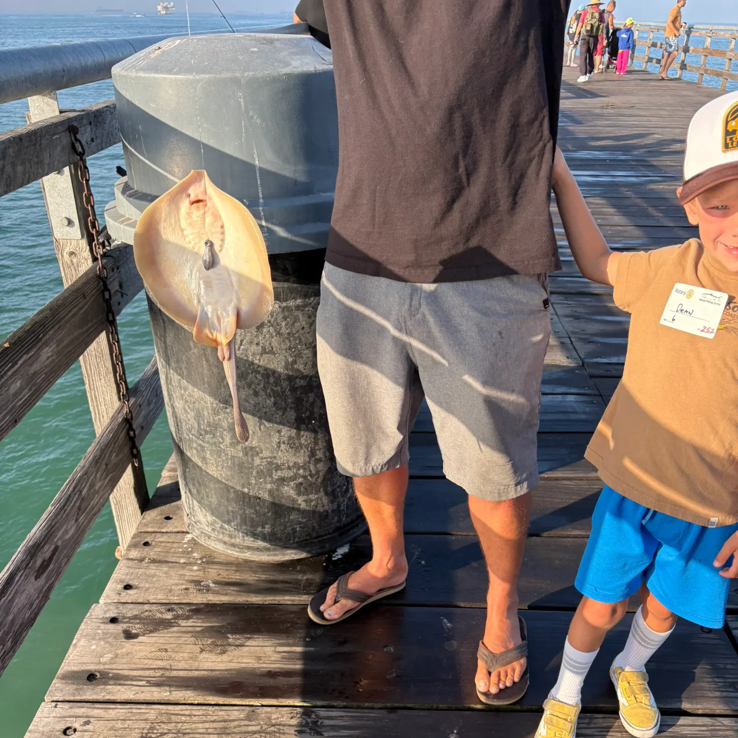 Haller's round ray caught on Fishbrain