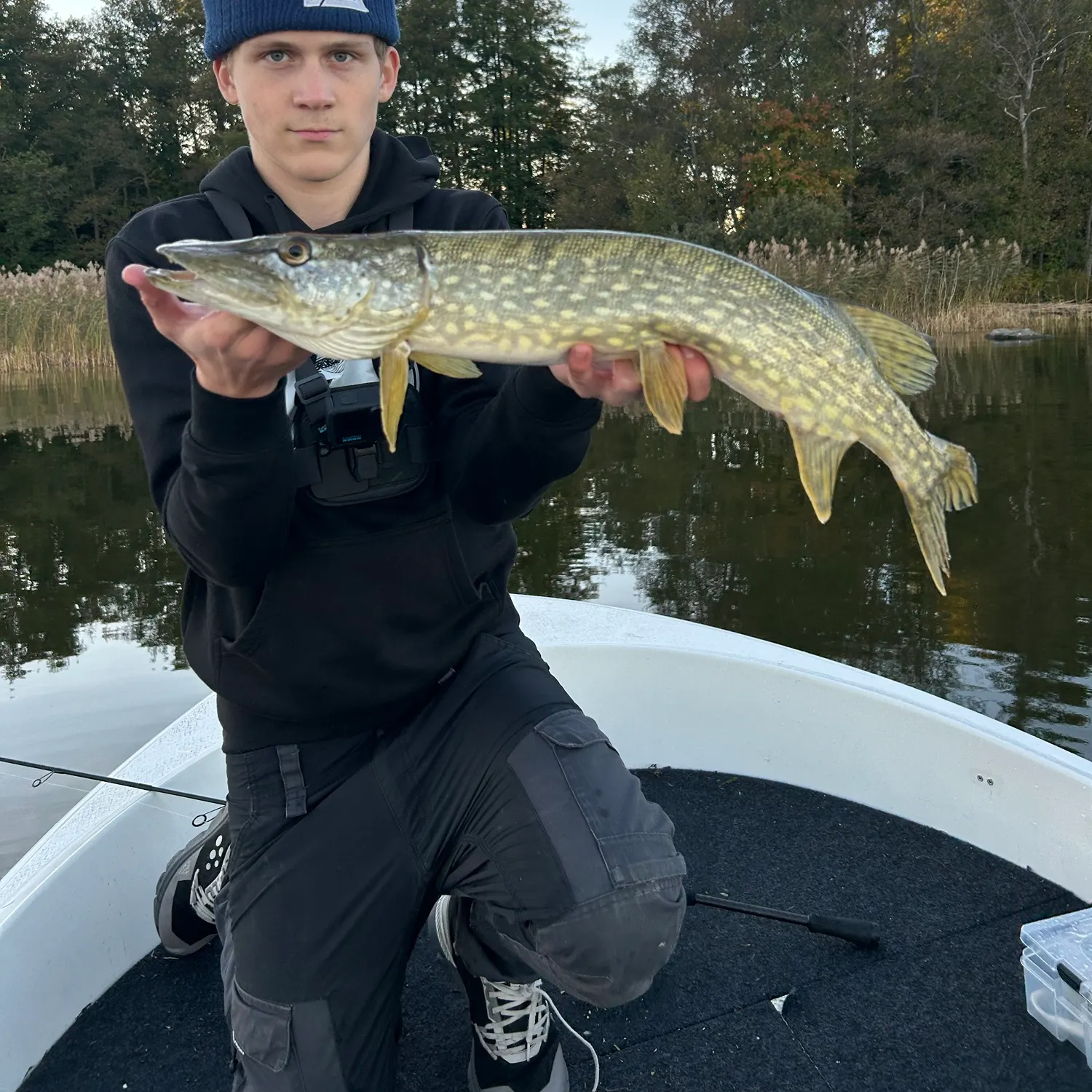 Northern pike caught on Fishbrain