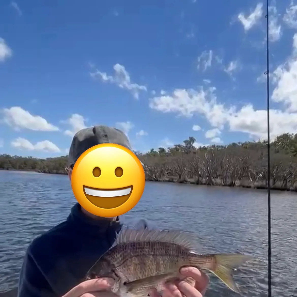 Southern black bream caught on Fishbrain