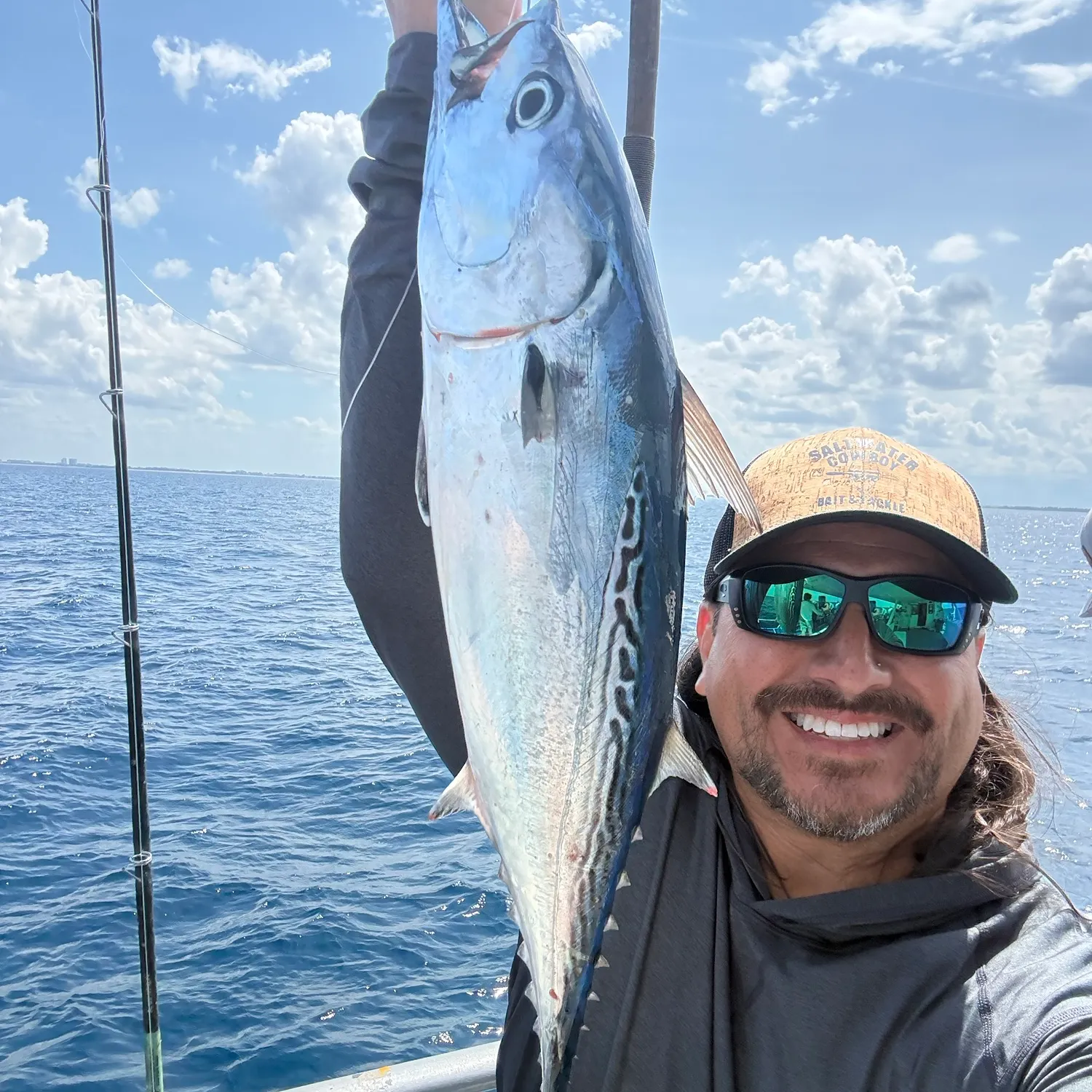 The most recent Little tunny catches on Fishbrain