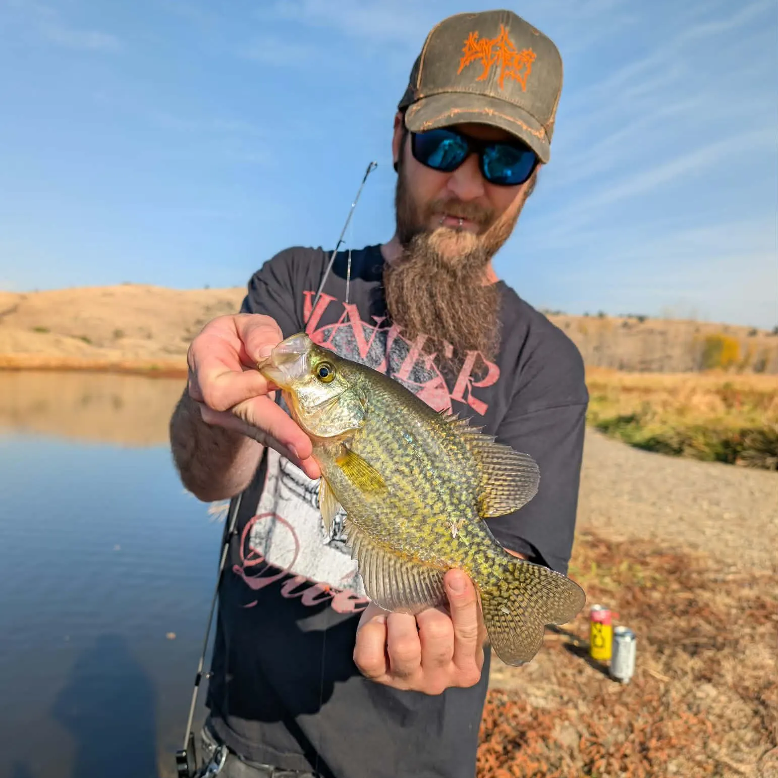 Black crappie caught on Fishbrain