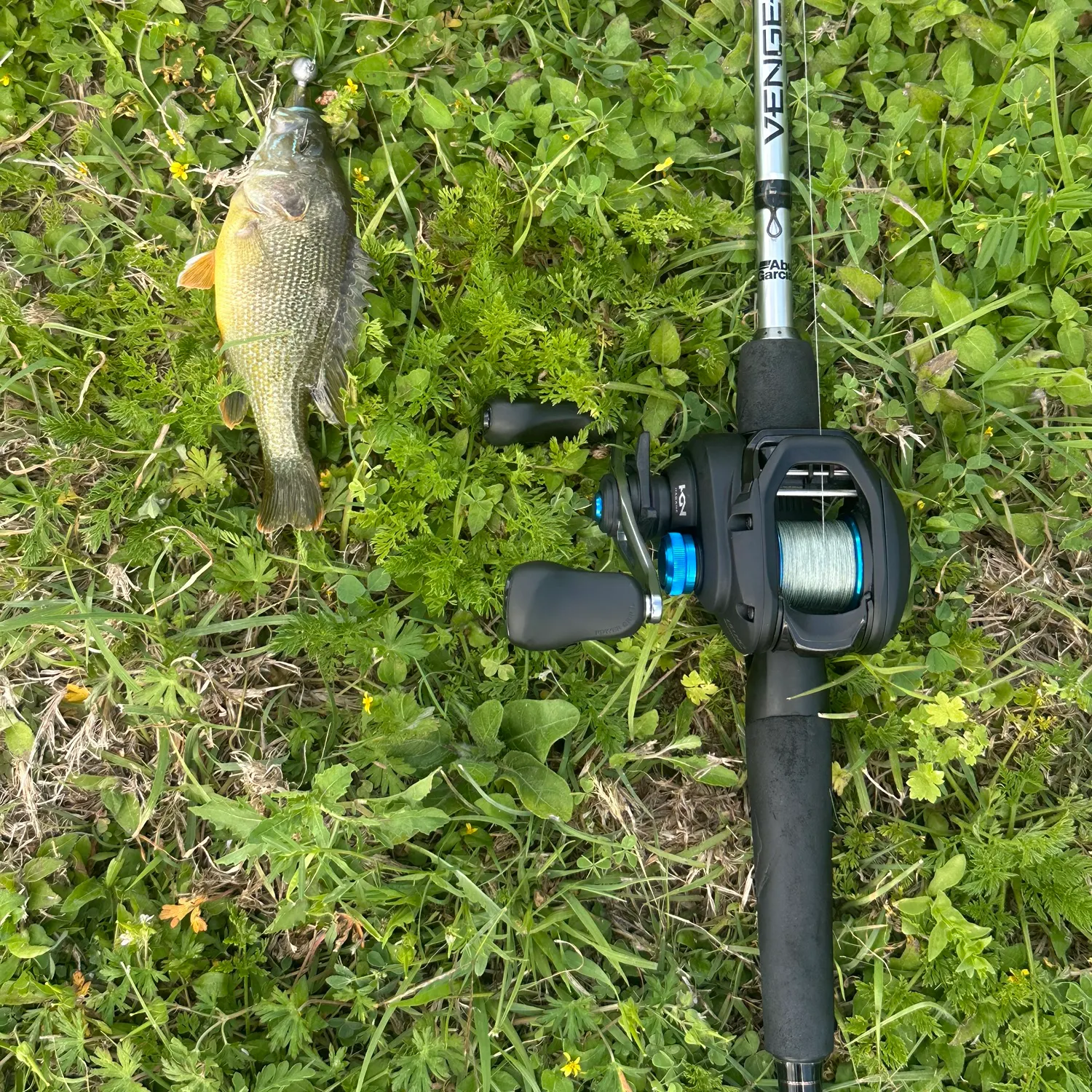 The most recent Wargill hybrid catches on Fishbrain