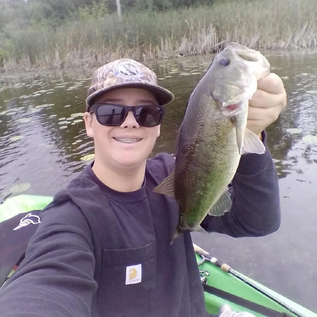 Largemouth bass caught on Fishbrain