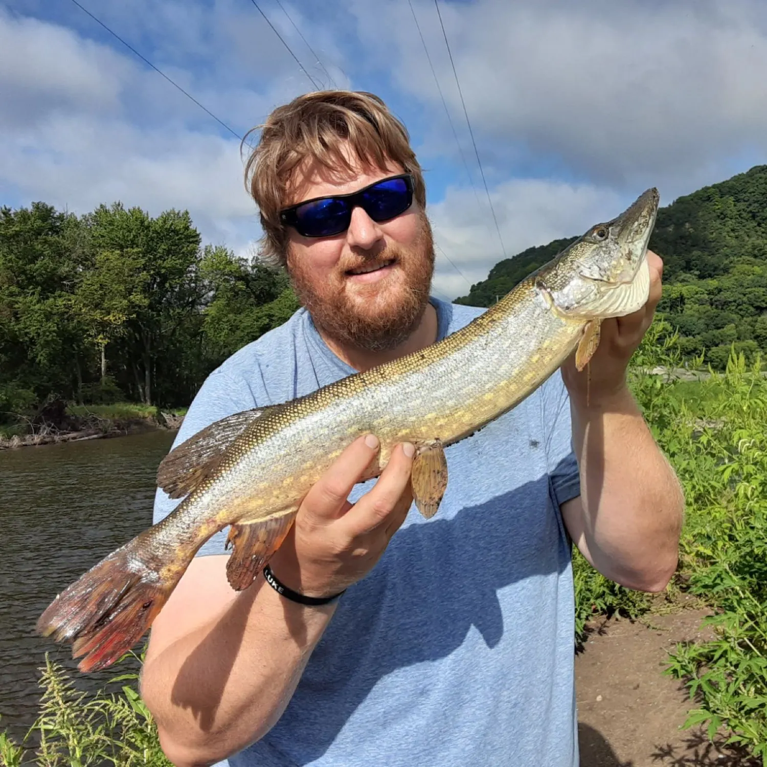Northern pike caught on Fishbrain
