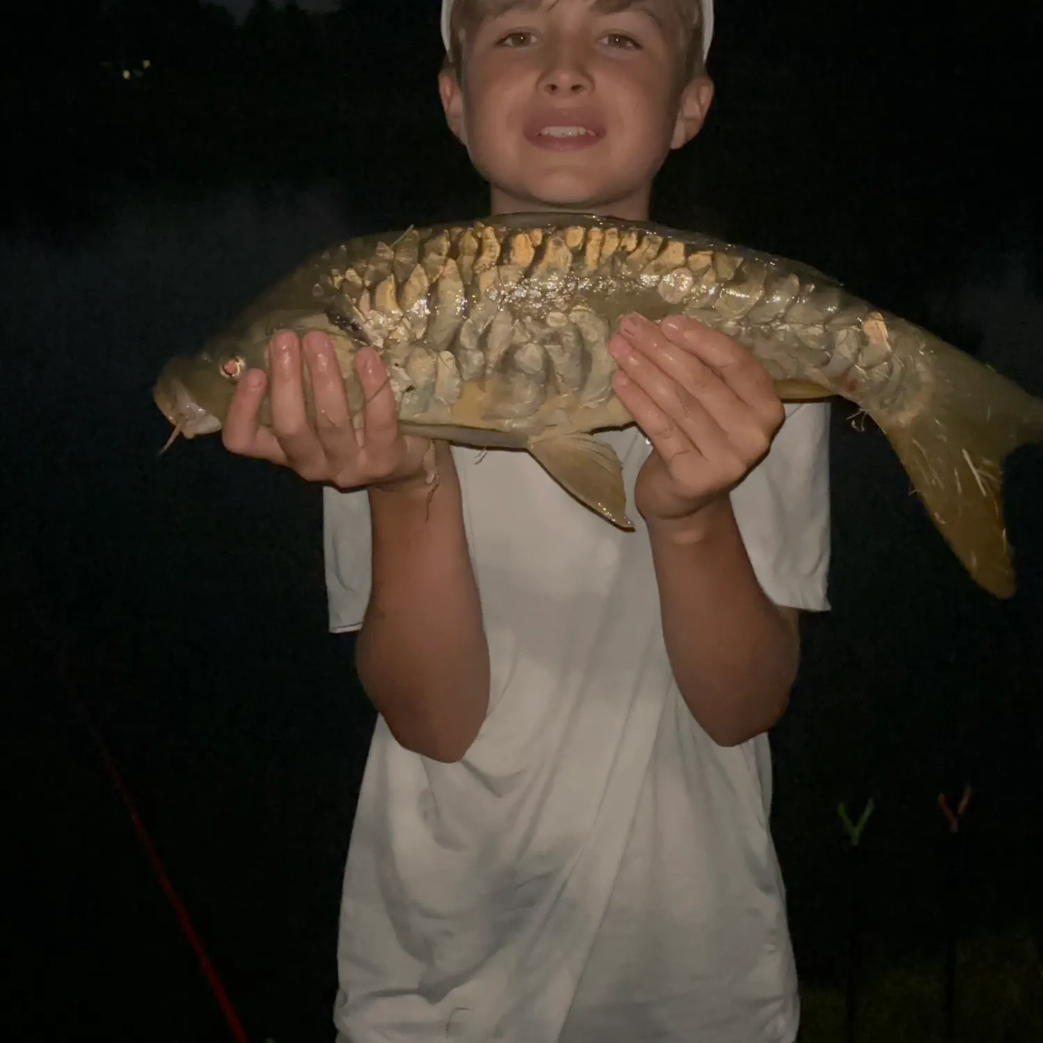 The most recent Mirror carp catches on Fishbrain