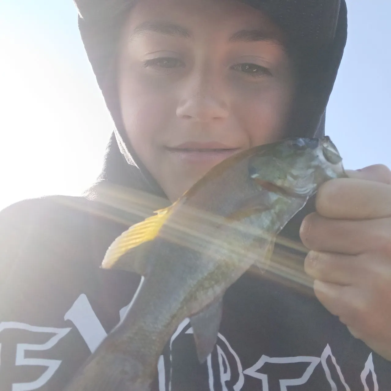 The most recent Smallmouth bass catches on Fishbrain