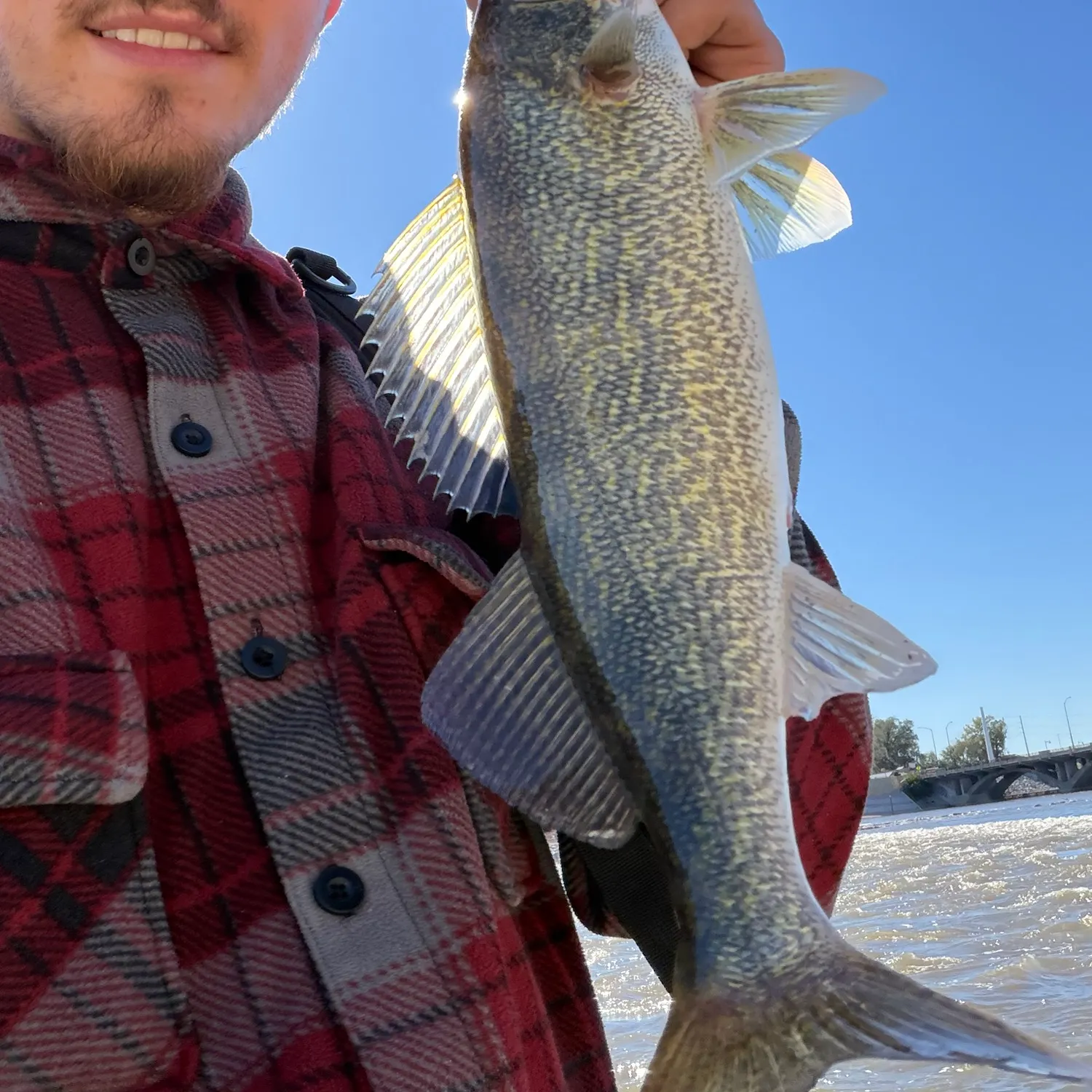 Walleye caught on Fishbrain