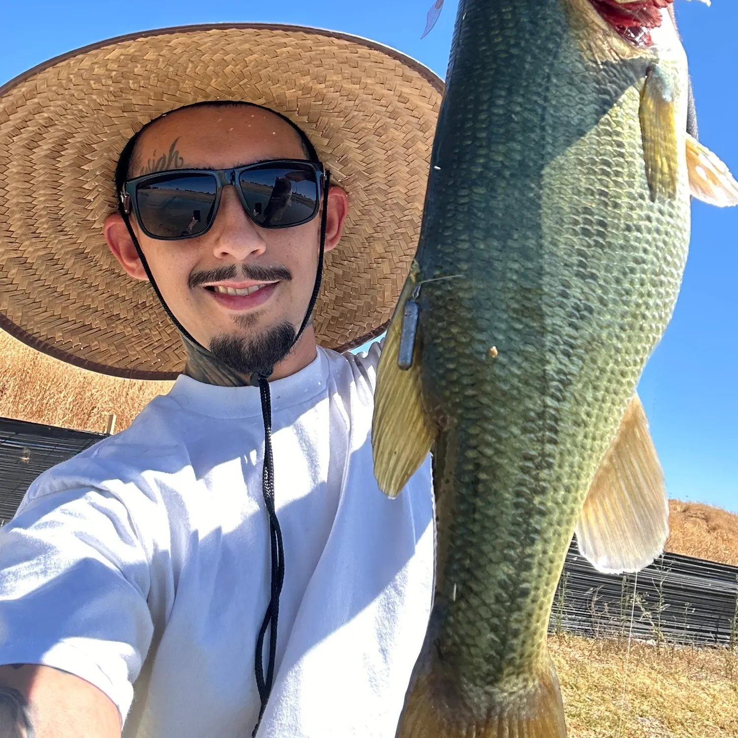 angler catch