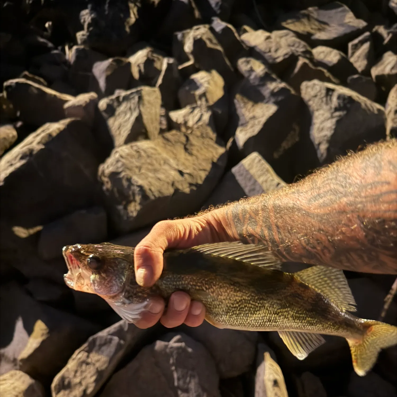 catch