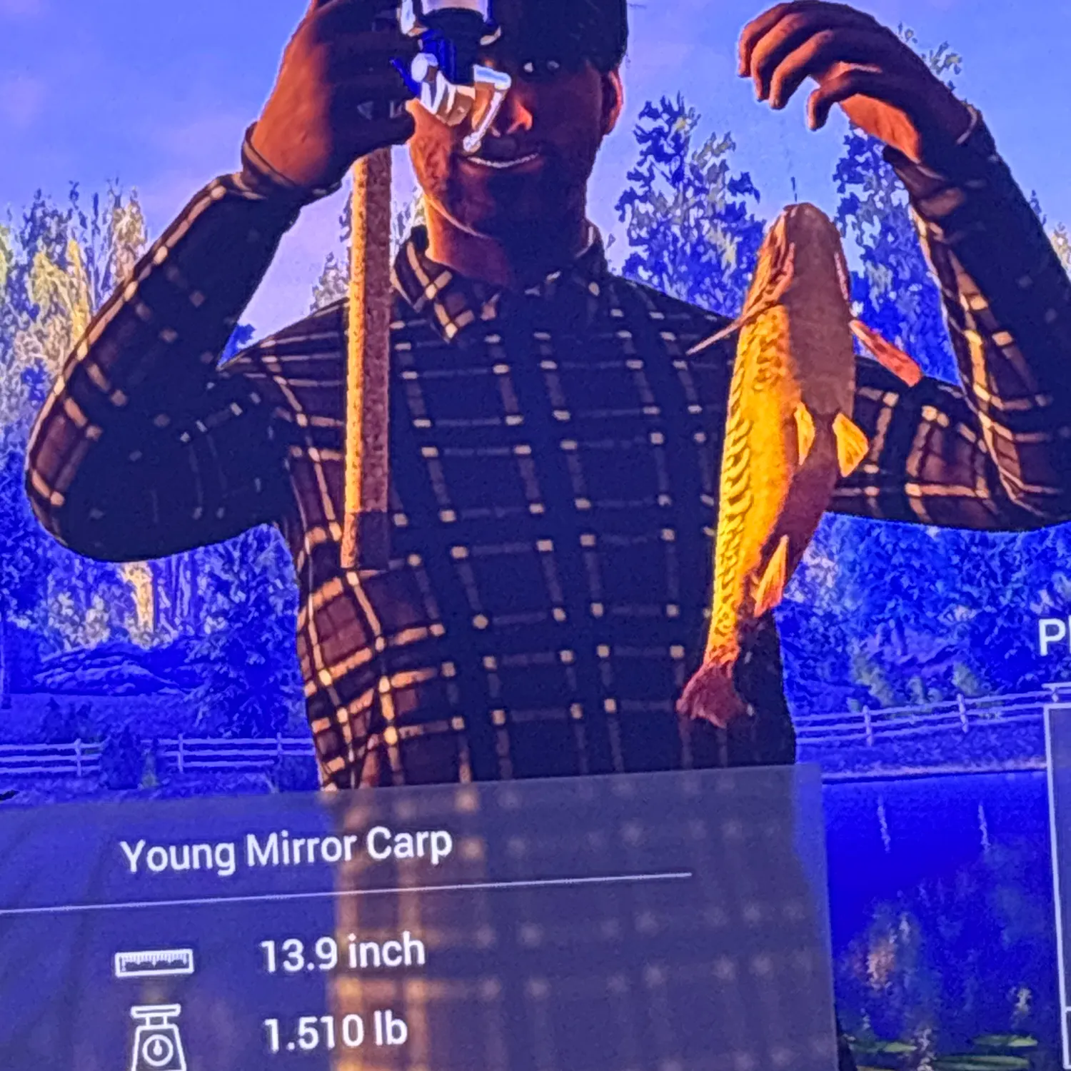 The most recent Gag grouper catches on Fishbrain
