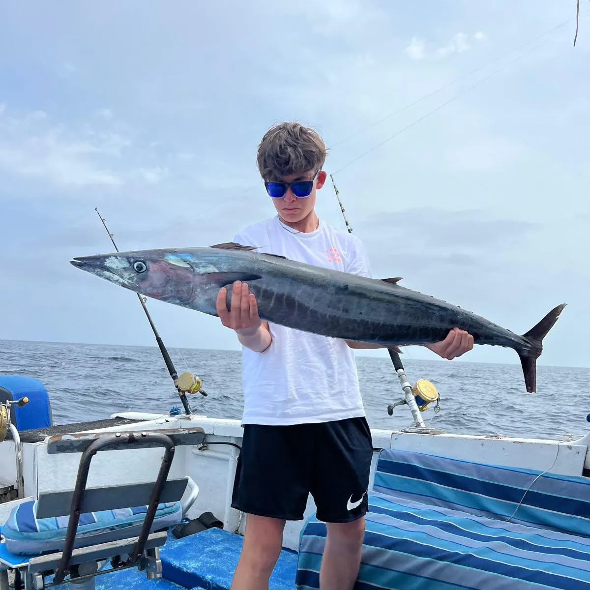The most recent Wahoo catches on Fishbrain