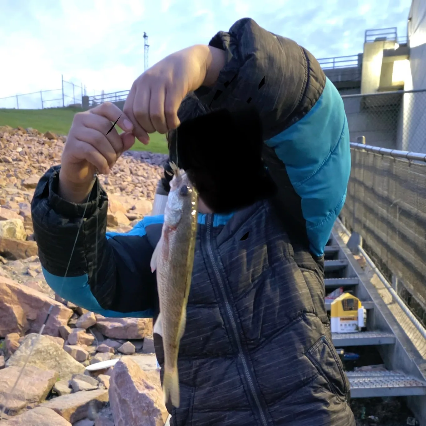 Walleye caught on Fishbrain