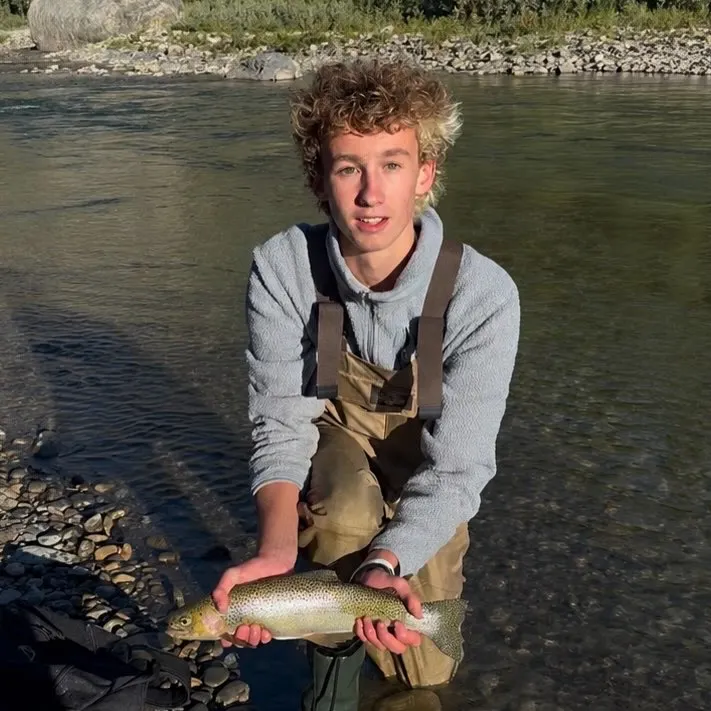 The most recent Westslope cutthroat trout catches on Fishbrain