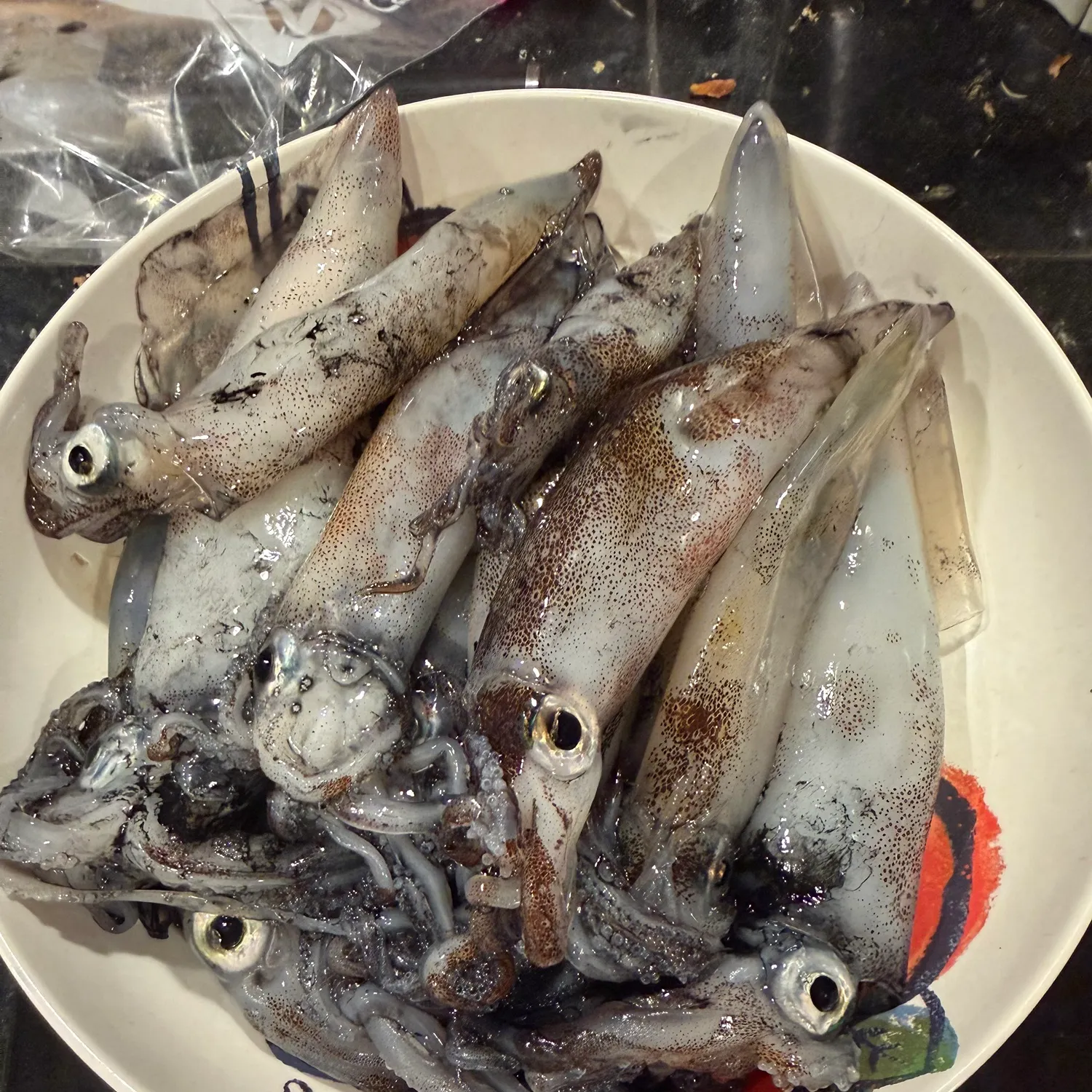 The most recent Gould's squid catches on Fishbrain