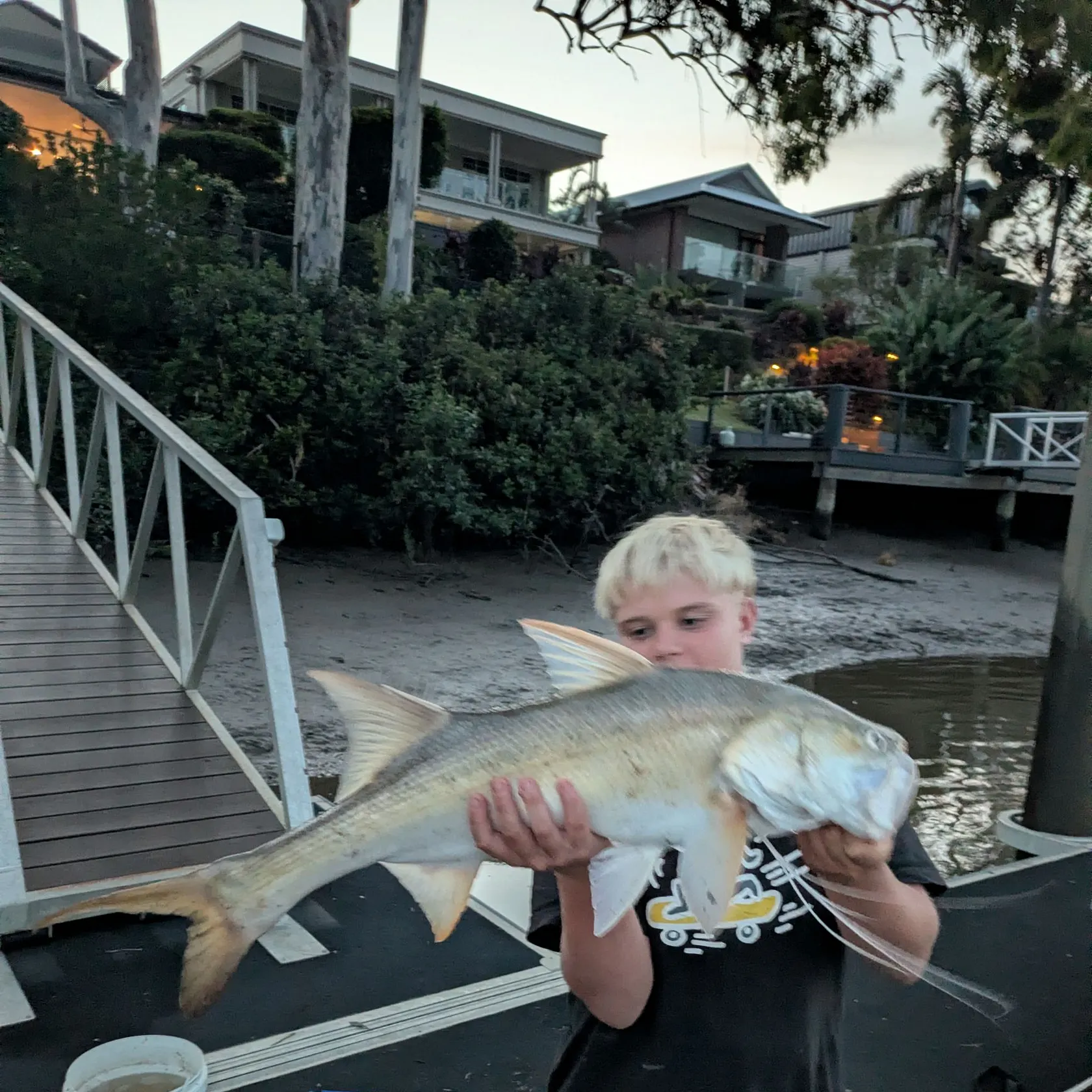 The most recent King threadfin catches on Fishbrain