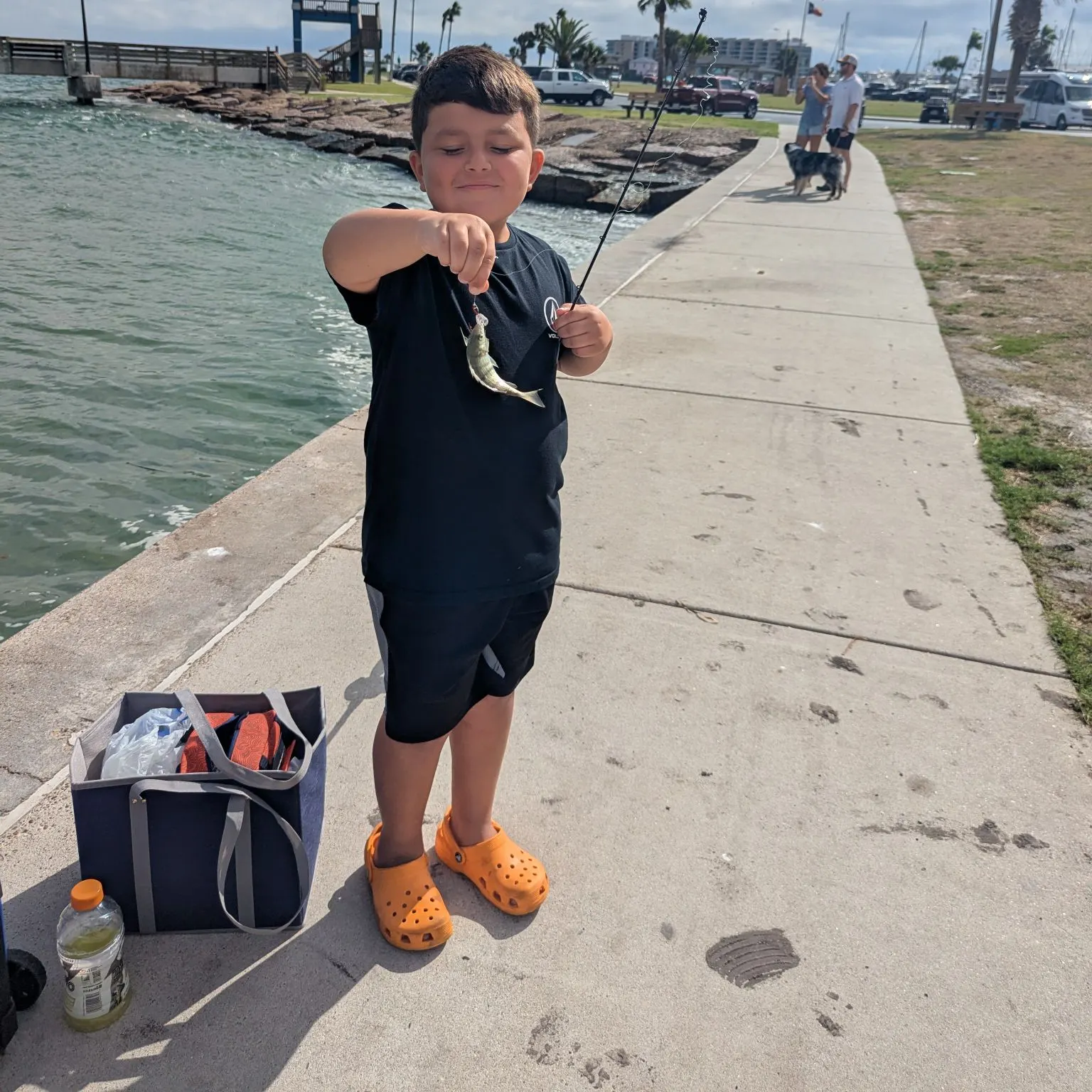 Pinfish caught on Fishbrain